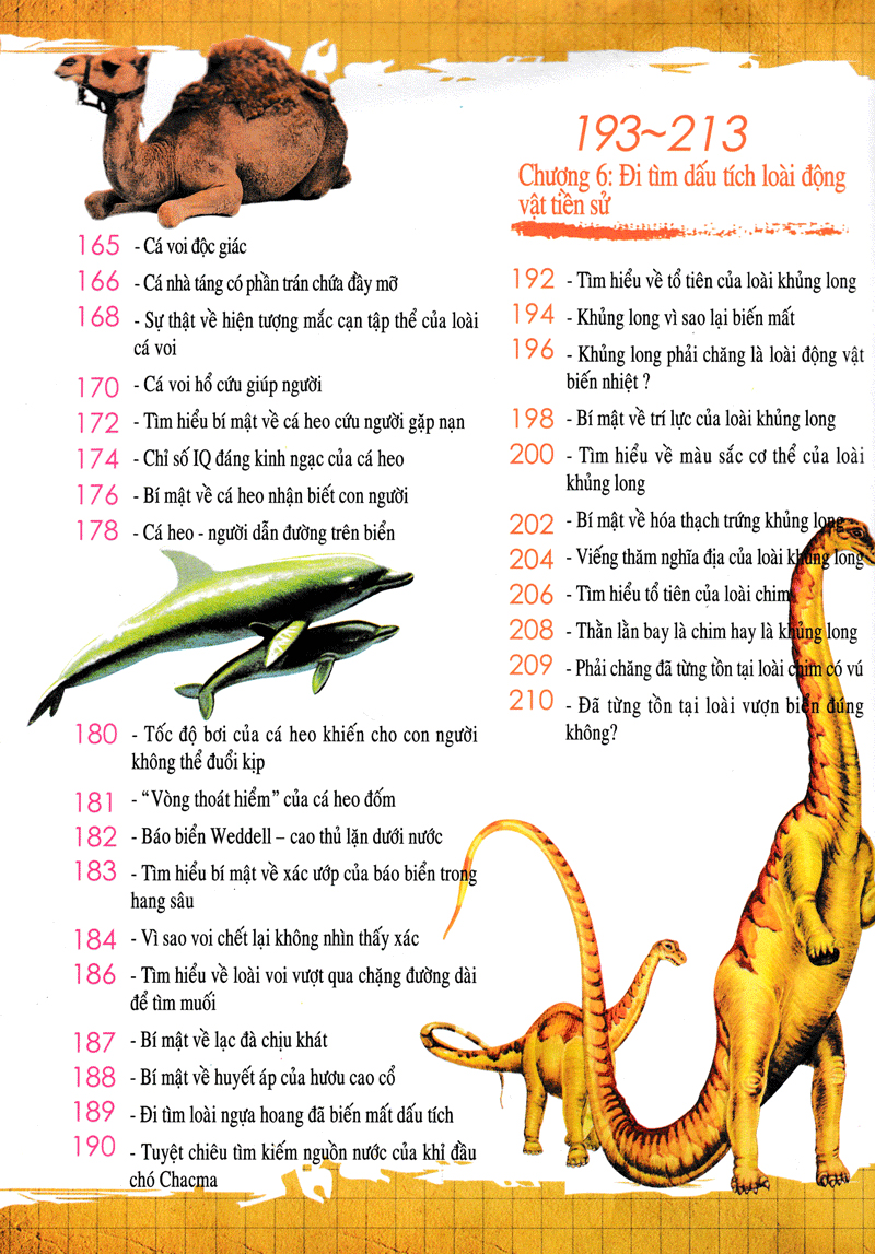 khám phá những bí ẩn về động vật (tái bản) - Ảnh 11