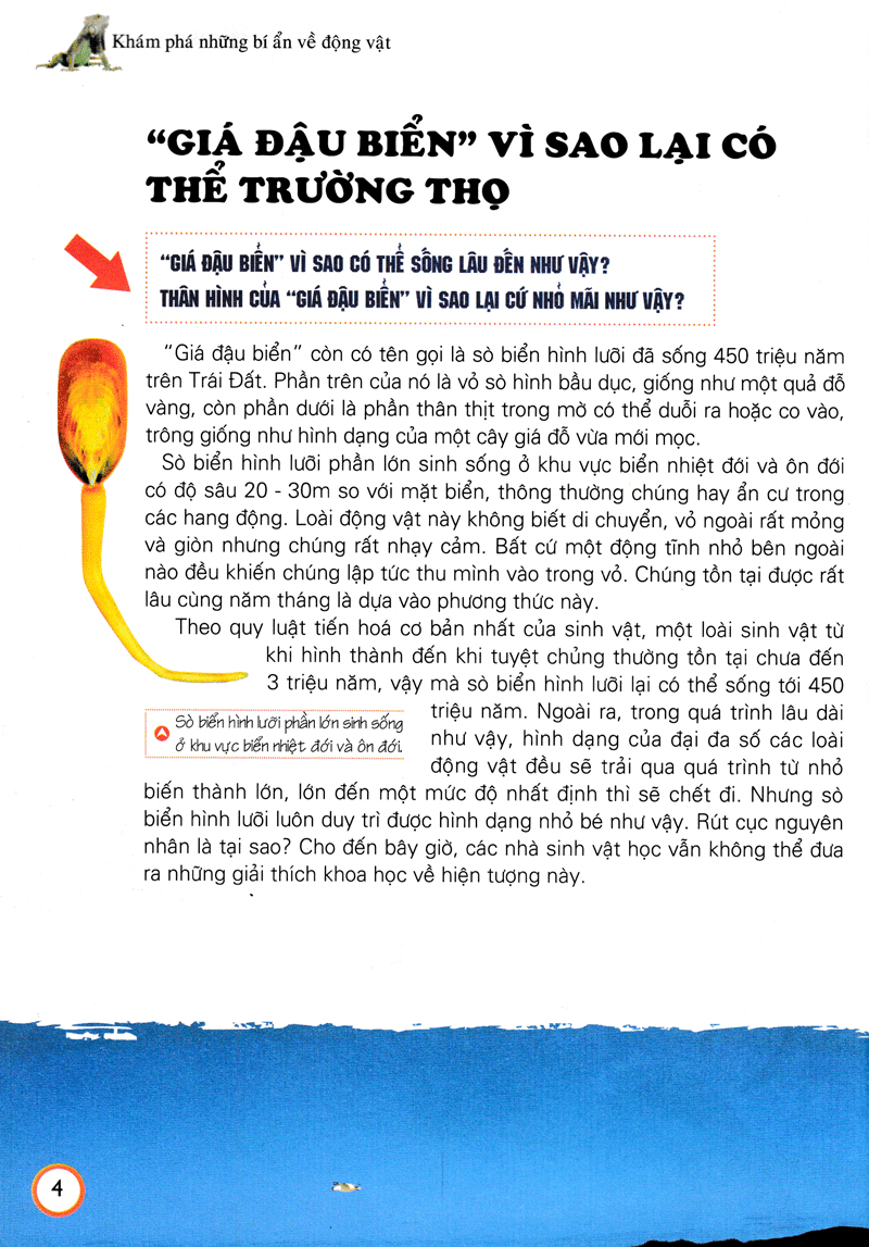 khám phá những bí ẩn về động vật (tái bản) - Ảnh 15