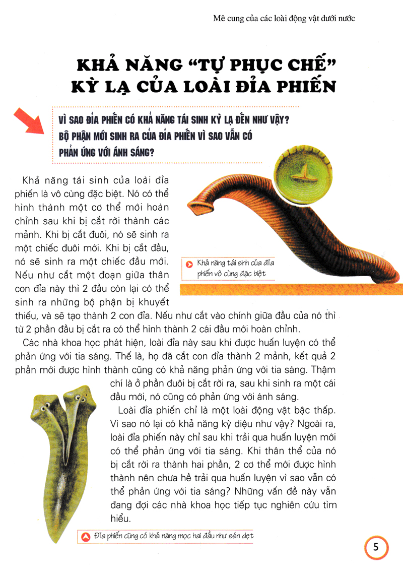 khám phá những bí ẩn về động vật (tái bản) - Ảnh 16