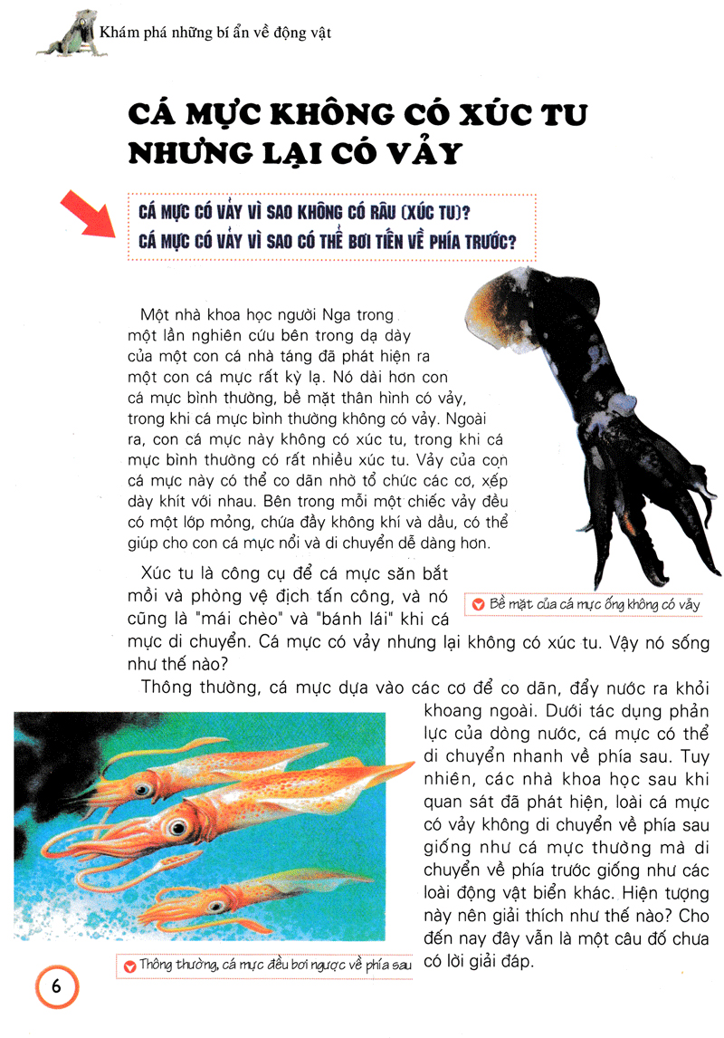 khám phá những bí ẩn về động vật (tái bản) - Ảnh 17