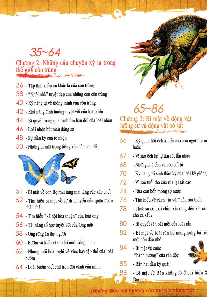 khám phá những bí ẩn về động vật (tái bản) - Ảnh 8