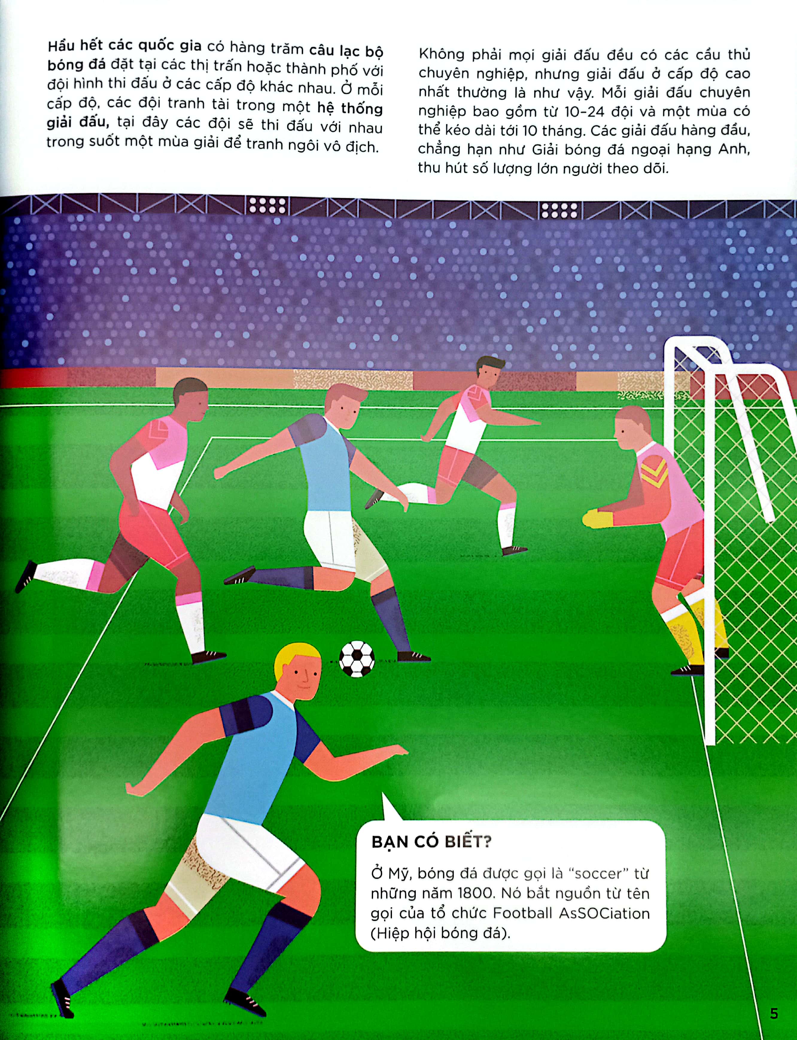 khám phá những nghề nghiệp thú vị - nghề cầu thủ bóng đá và những công việc thể thao khác - Ảnh 6