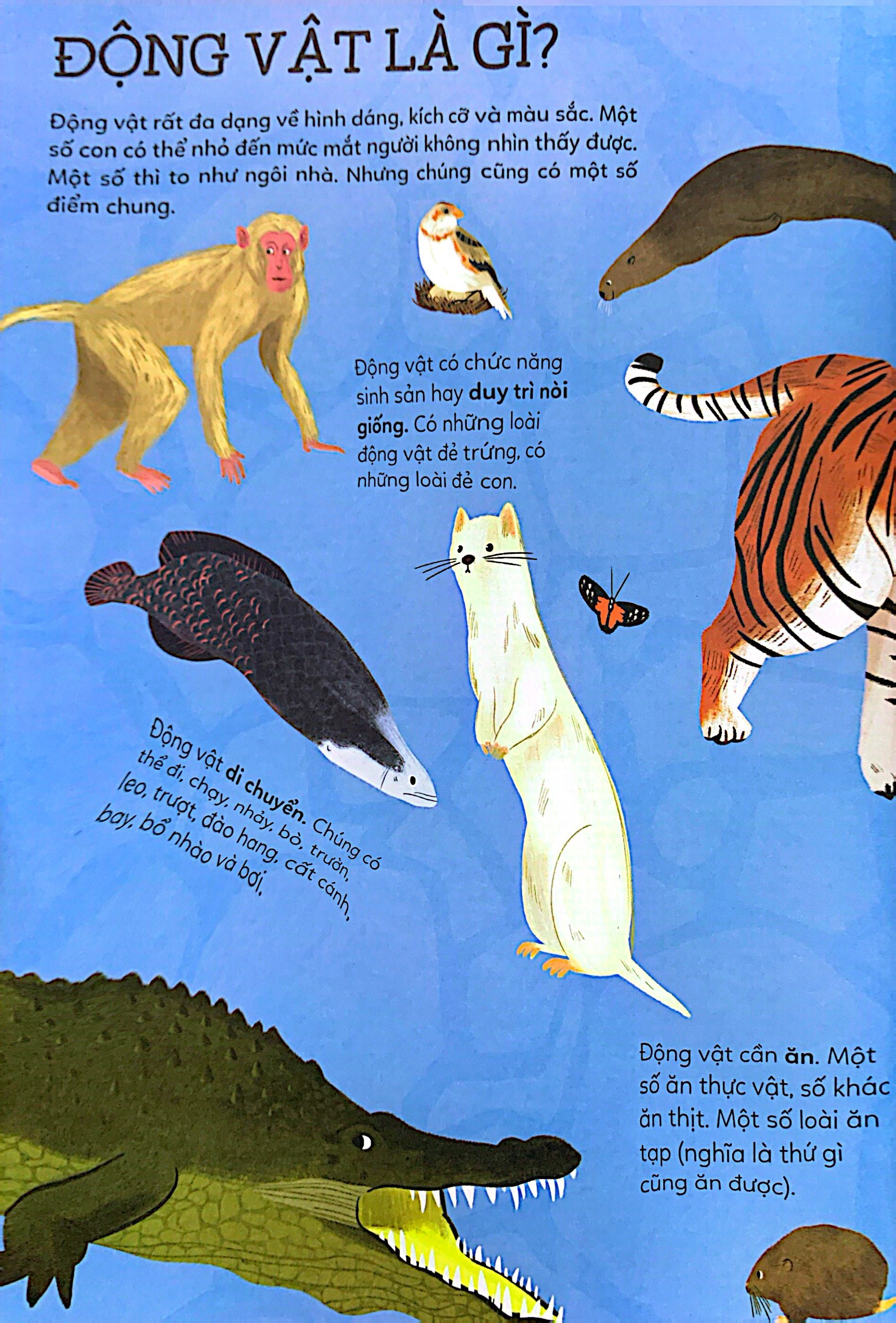 khám phá rừng già - động vật hoang dã (tái bản 2022) - Ảnh 5