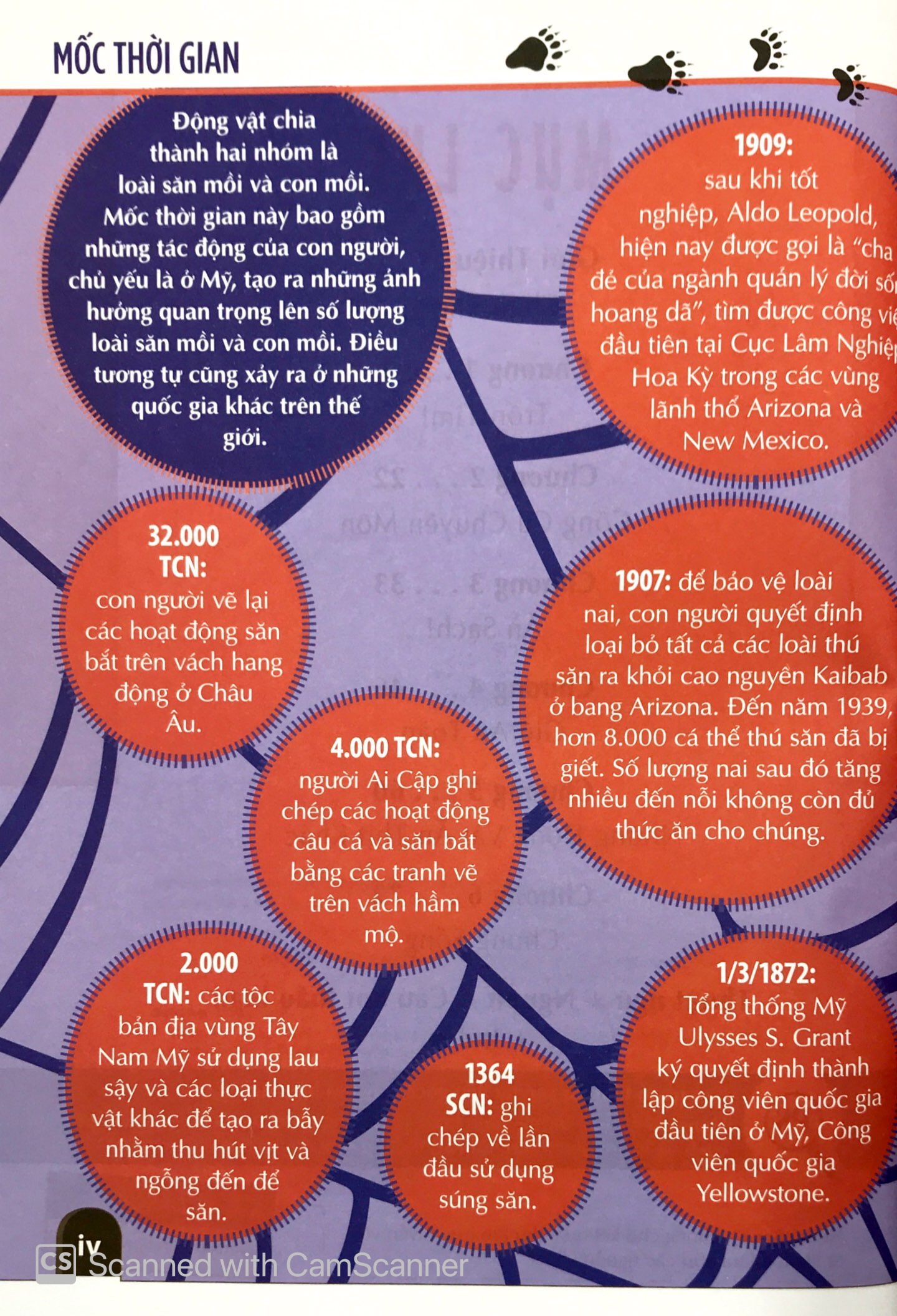 khám phá săn và bị săn - cùng 25 dự án tuyệt vời - Ảnh 4