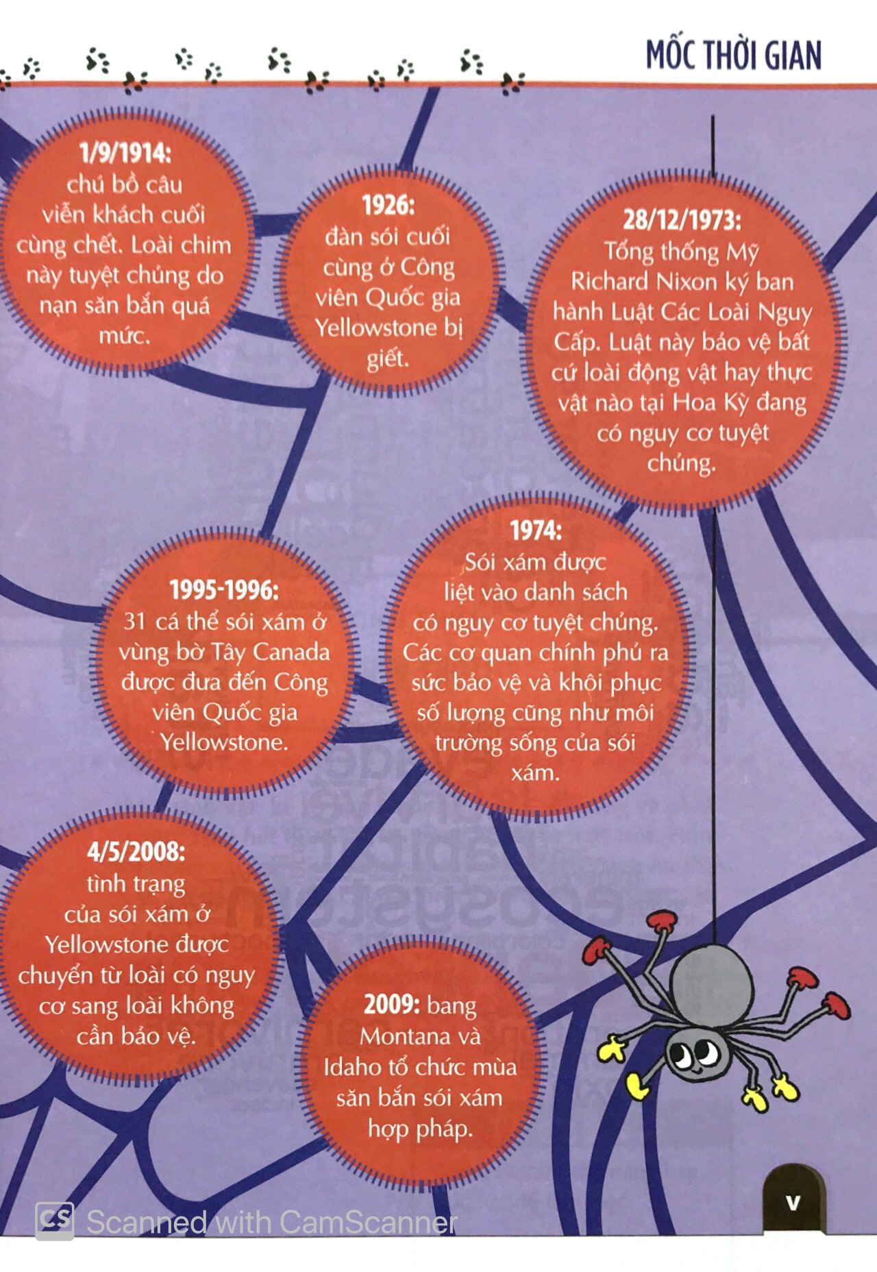 khám phá săn và bị săn - cùng 25 dự án tuyệt vời - Ảnh 5