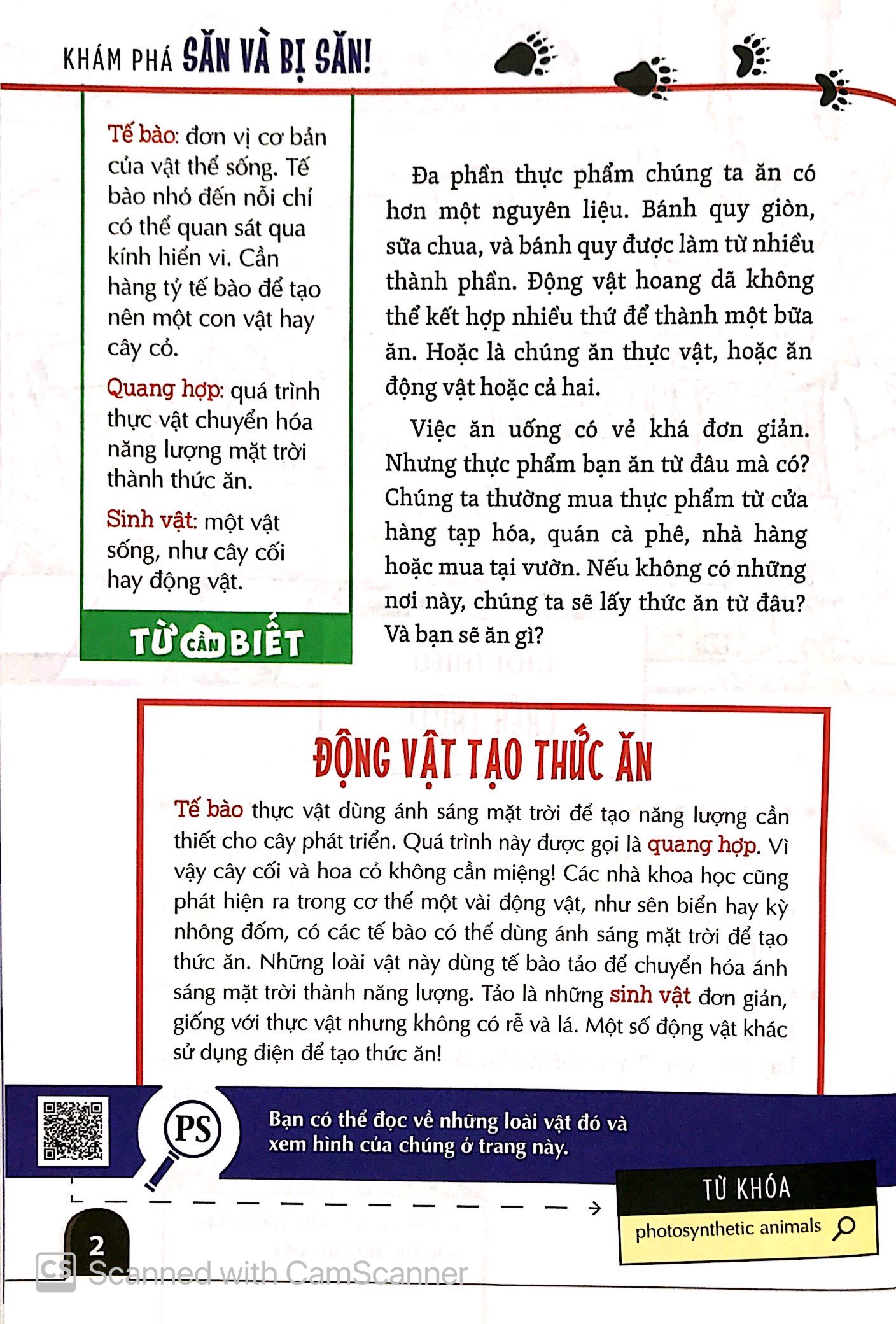 khám phá săn và bị săn - cùng 25 dự án tuyệt vời - Ảnh 8