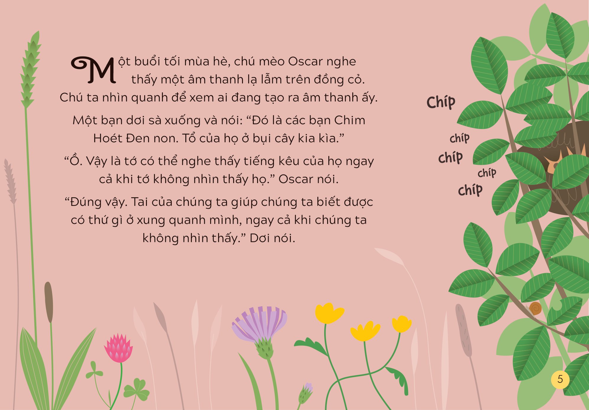 khám phá thế giới cùng mèo oscar - âm thanh - Ảnh 4