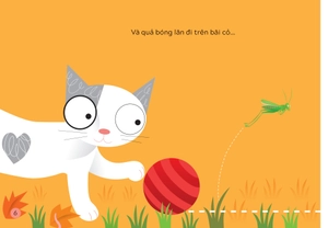 khám phá thế giới cùng mèo oscar - chuyển động - Ảnh 5