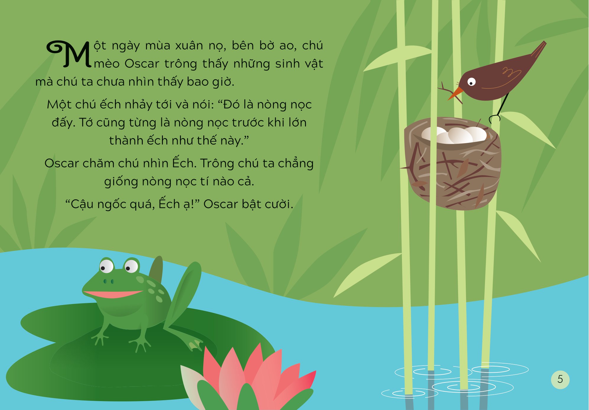 khám phá thế giới cùng mèo oscar - sự sinh trưởng - Ảnh 4