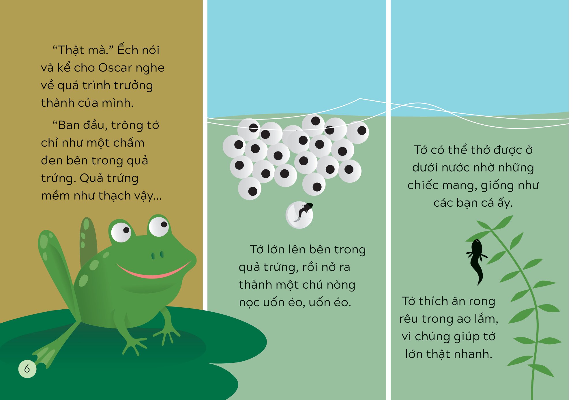 khám phá thế giới cùng mèo oscar - sự sinh trưởng - Ảnh 5