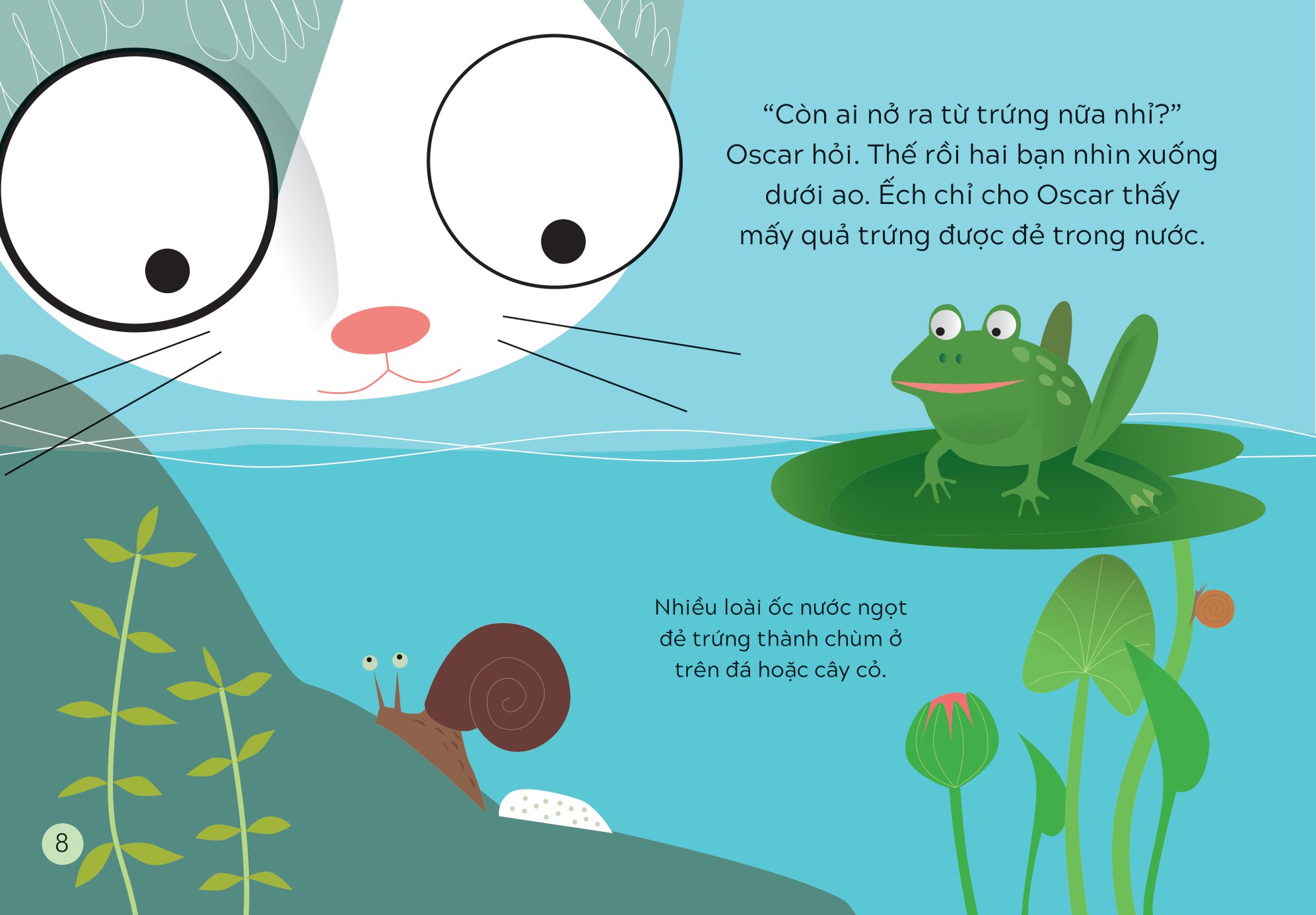 khám phá thế giới cùng mèo oscar - sự sinh trưởng - Ảnh 7