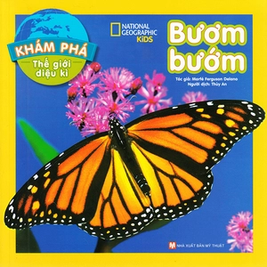 khám phá thế giới diệu kì - bươm bướm - Ảnh 2