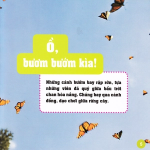 khám phá thế giới diệu kì - bươm bướm - Ảnh 3