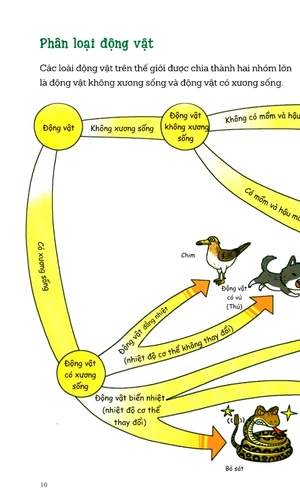 khám phá thế giới động vật - Ảnh 6