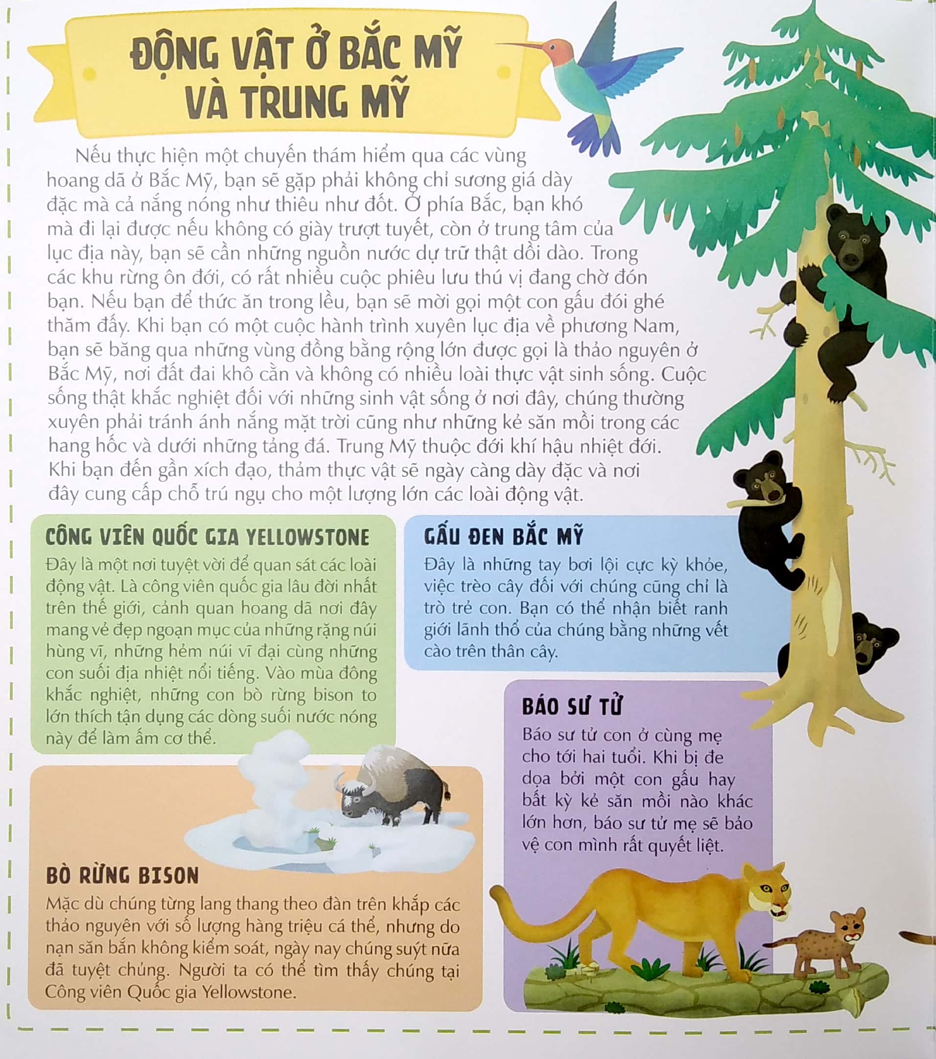 khám phá thế giới động vật phong phú qua bảy tấm bảng đồ mở rộng - atlas động vật - Ảnh 4