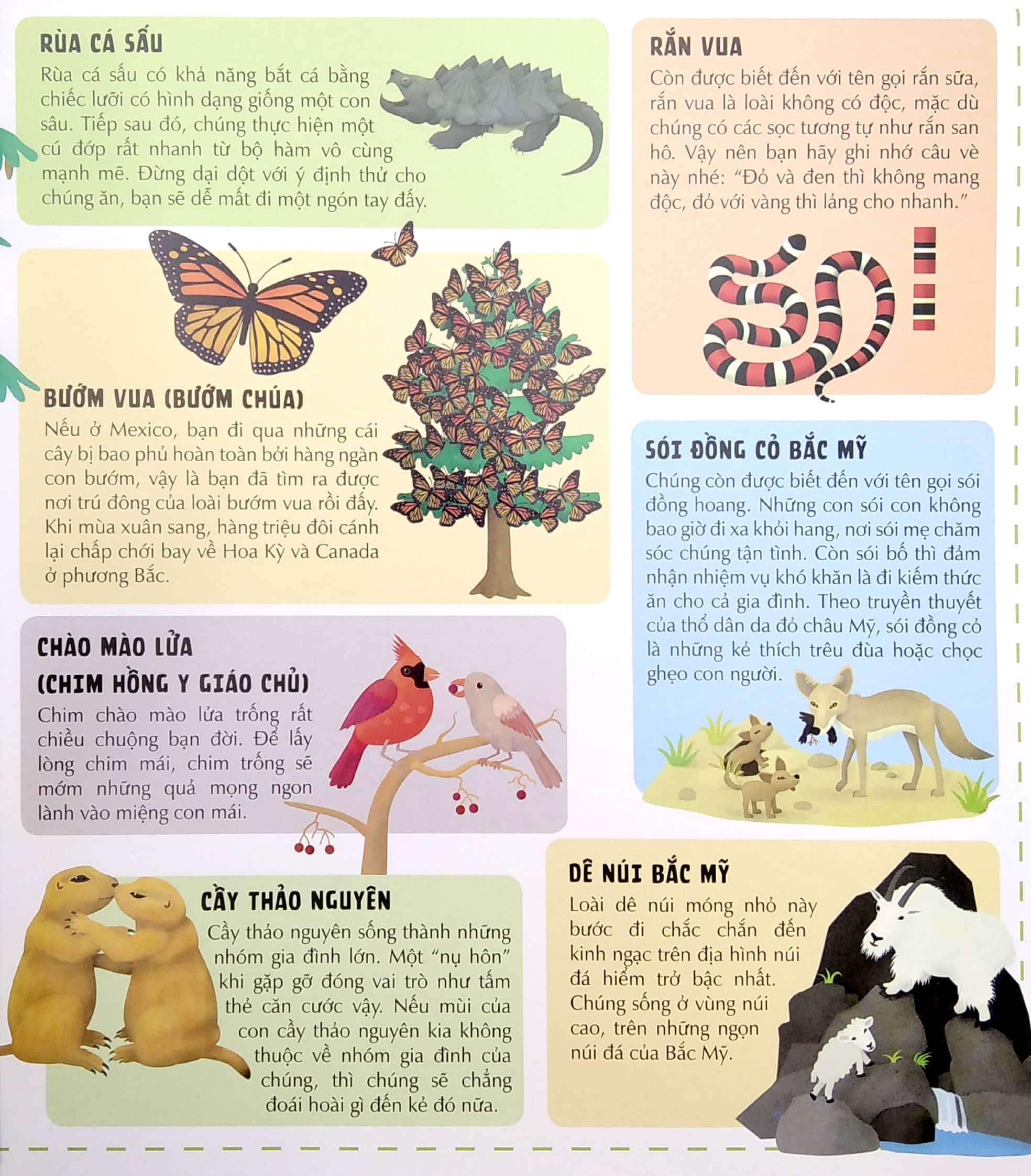 khám phá thế giới động vật phong phú qua bảy tấm bảng đồ mở rộng - atlas động vật - Ảnh 5