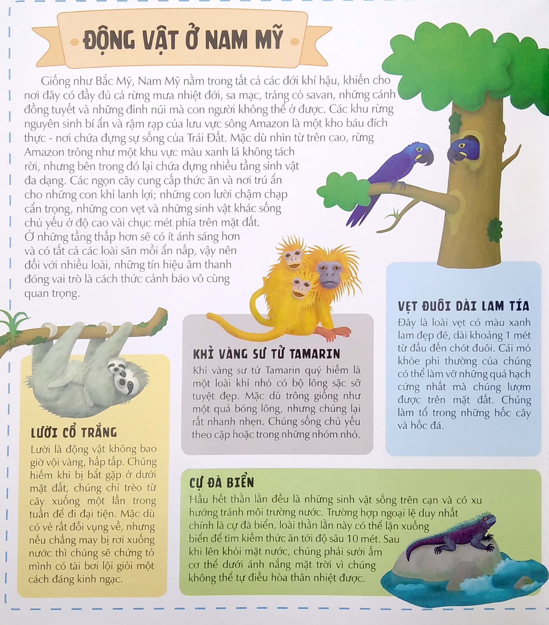 khám phá thế giới động vật phong phú qua bảy tấm bảng đồ mở rộng - atlas động vật - Ảnh 6