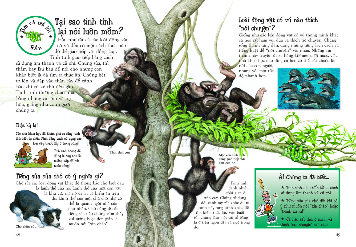 khám phá thế giới động vật (tái bản 2018) - Ảnh 2