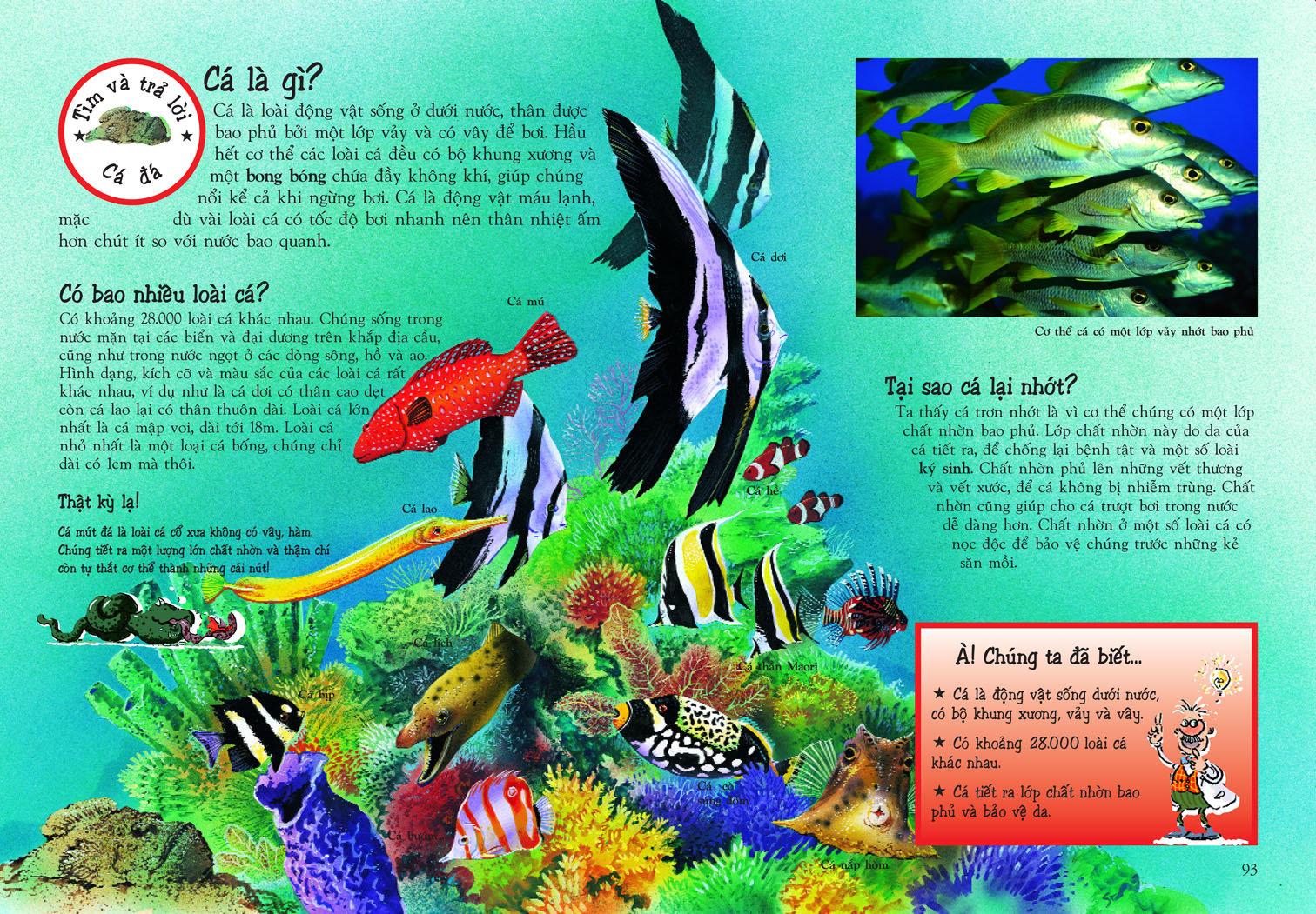 khám phá thế giới động vật (tái bản 2018) - Ảnh 3