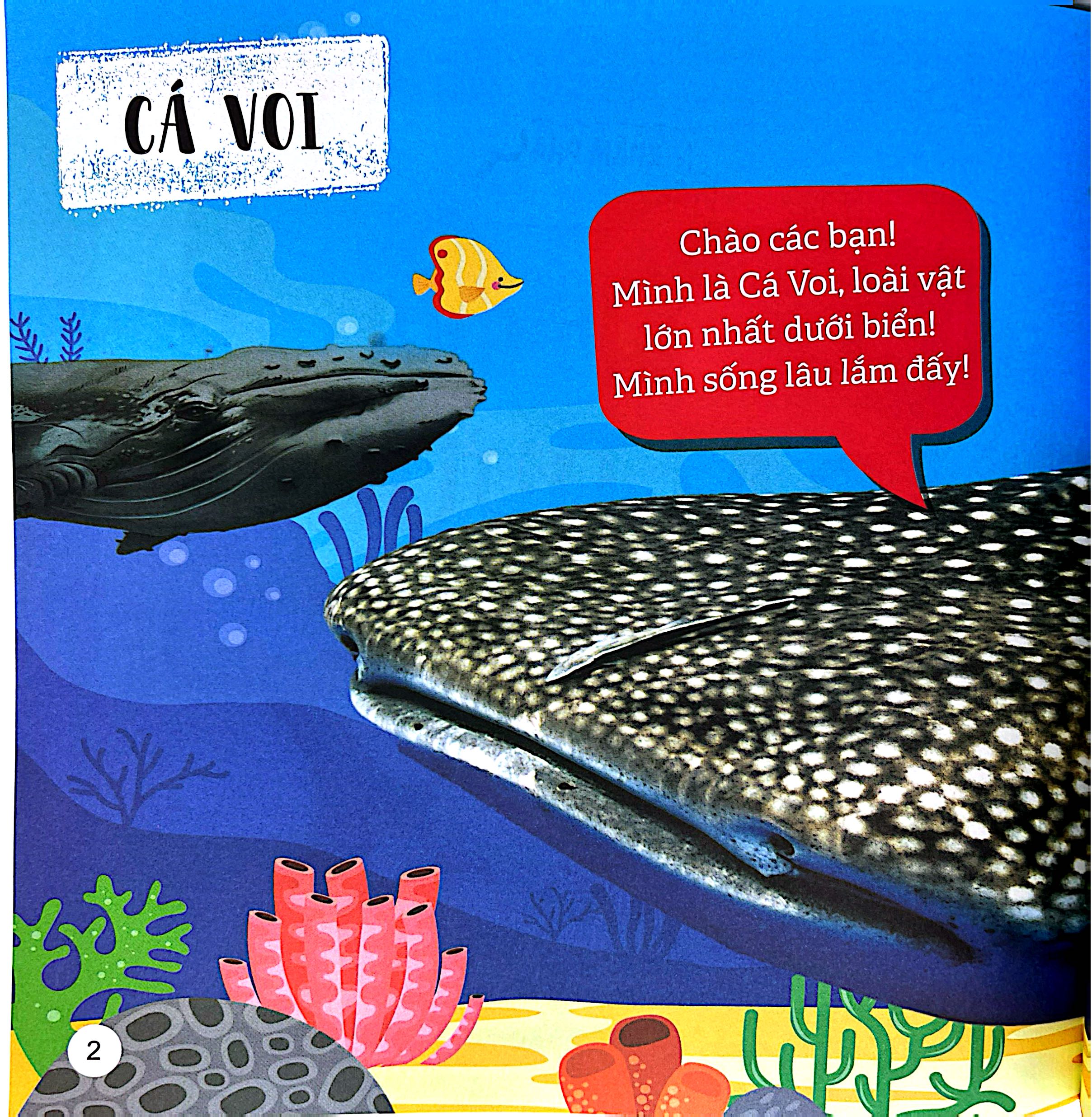 Kham Pha The Gioi Ky Dieu - The Gioi Dai Duong - Ảnh 3