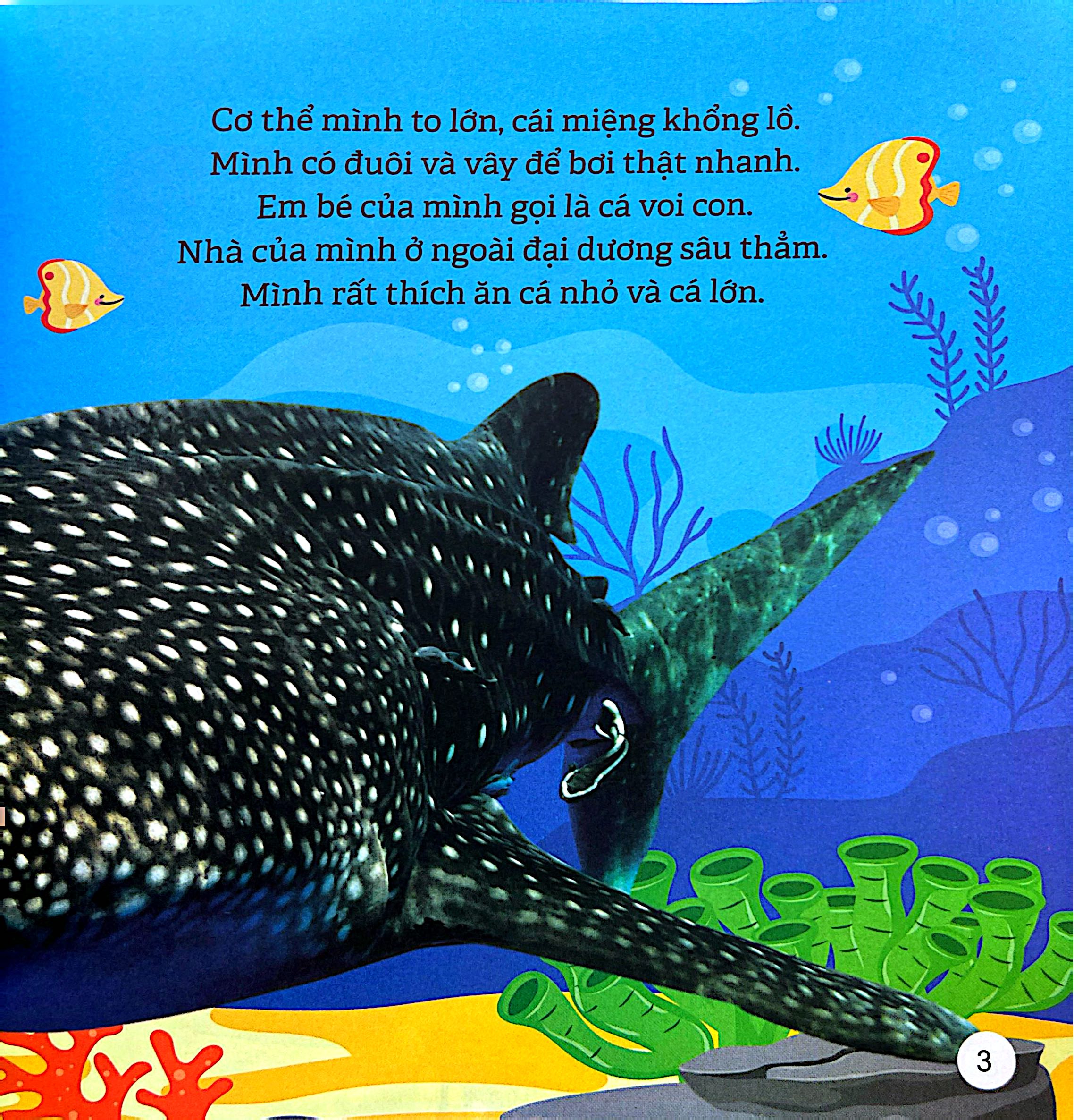 Kham Pha The Gioi Ky Dieu - The Gioi Dai Duong - Ảnh 4