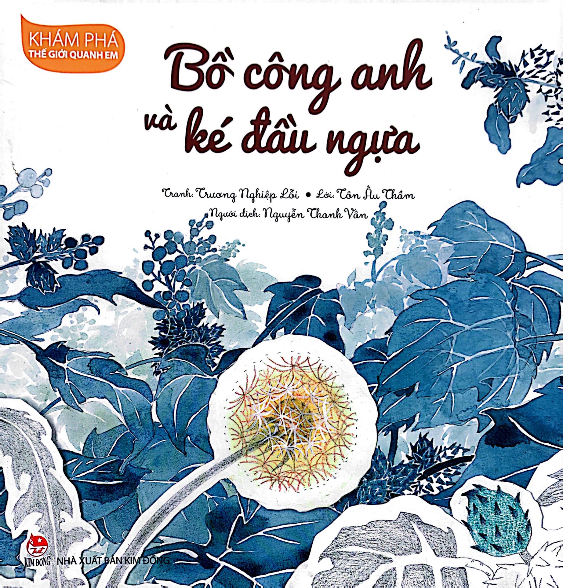 khám phá thế giới quanh em - bồ công anh và ké đầu ngựa - Ảnh 2