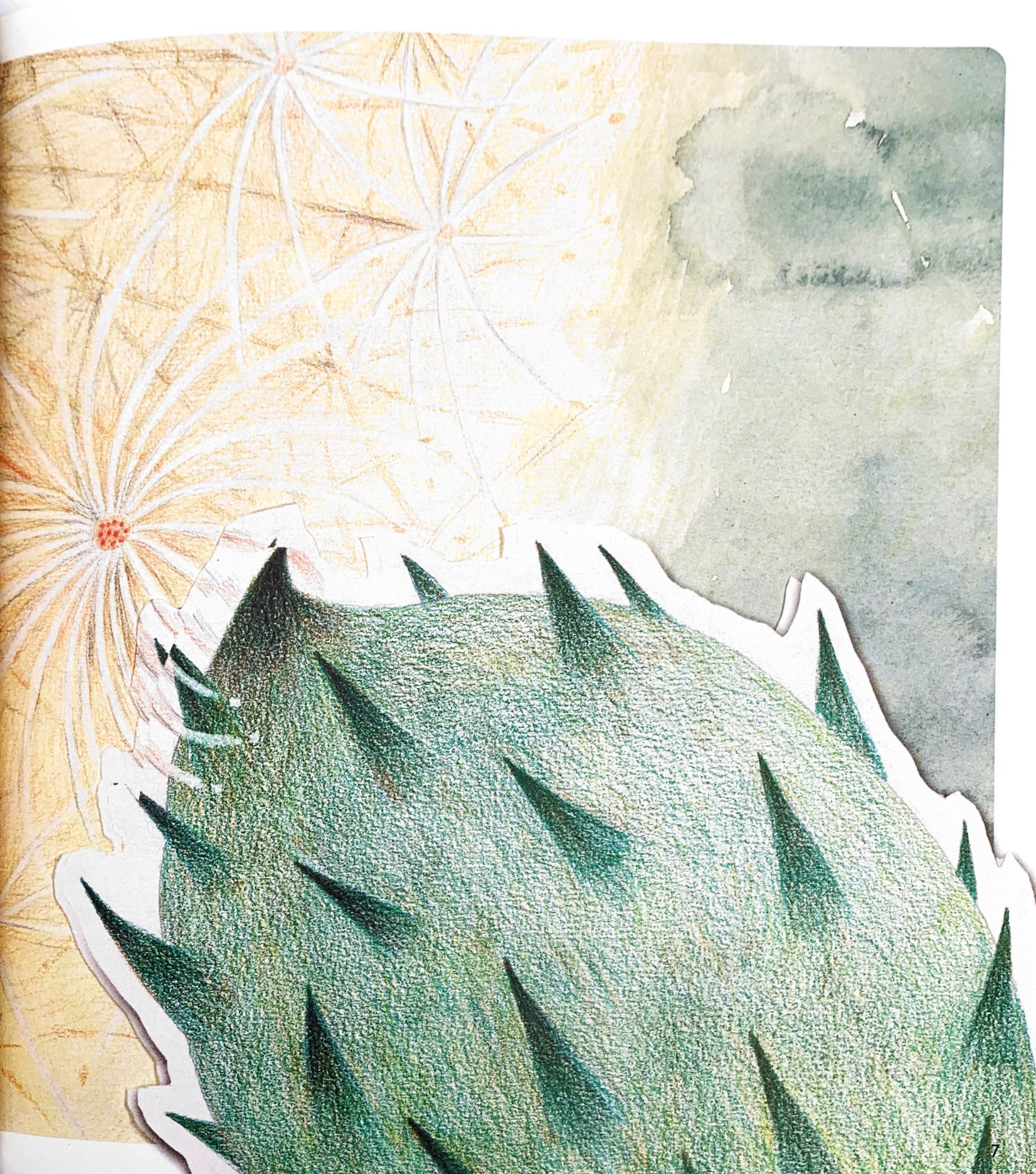 khám phá thế giới quanh em - bồ công anh và ké đầu ngựa - Ảnh 6