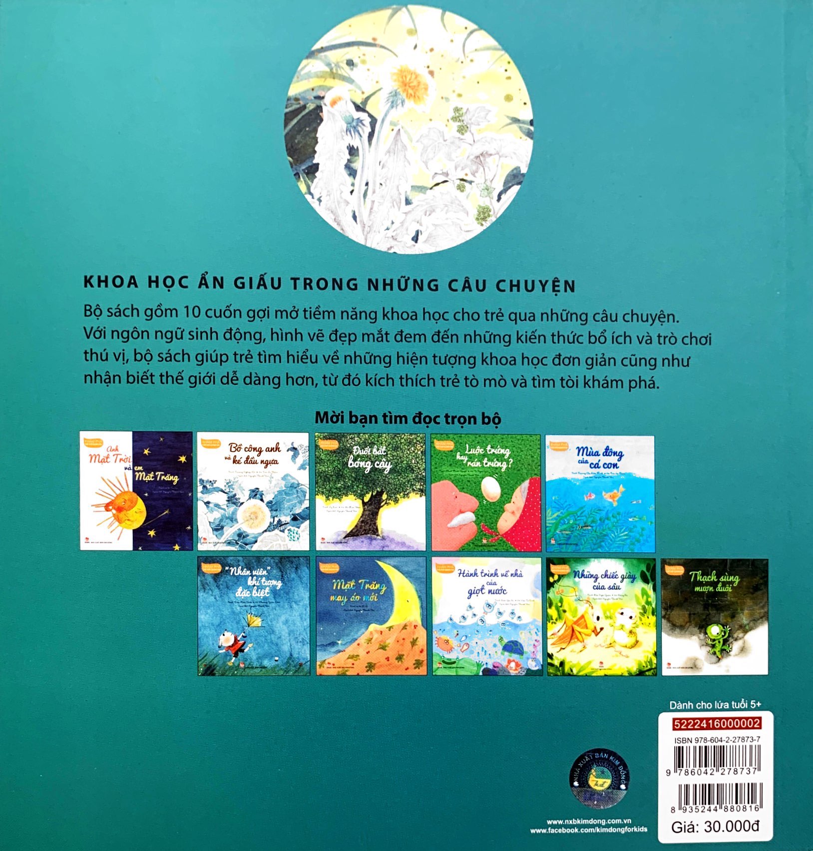 khám phá thế giới quanh em - bồ công anh và ké đầu ngựa - Ảnh 7