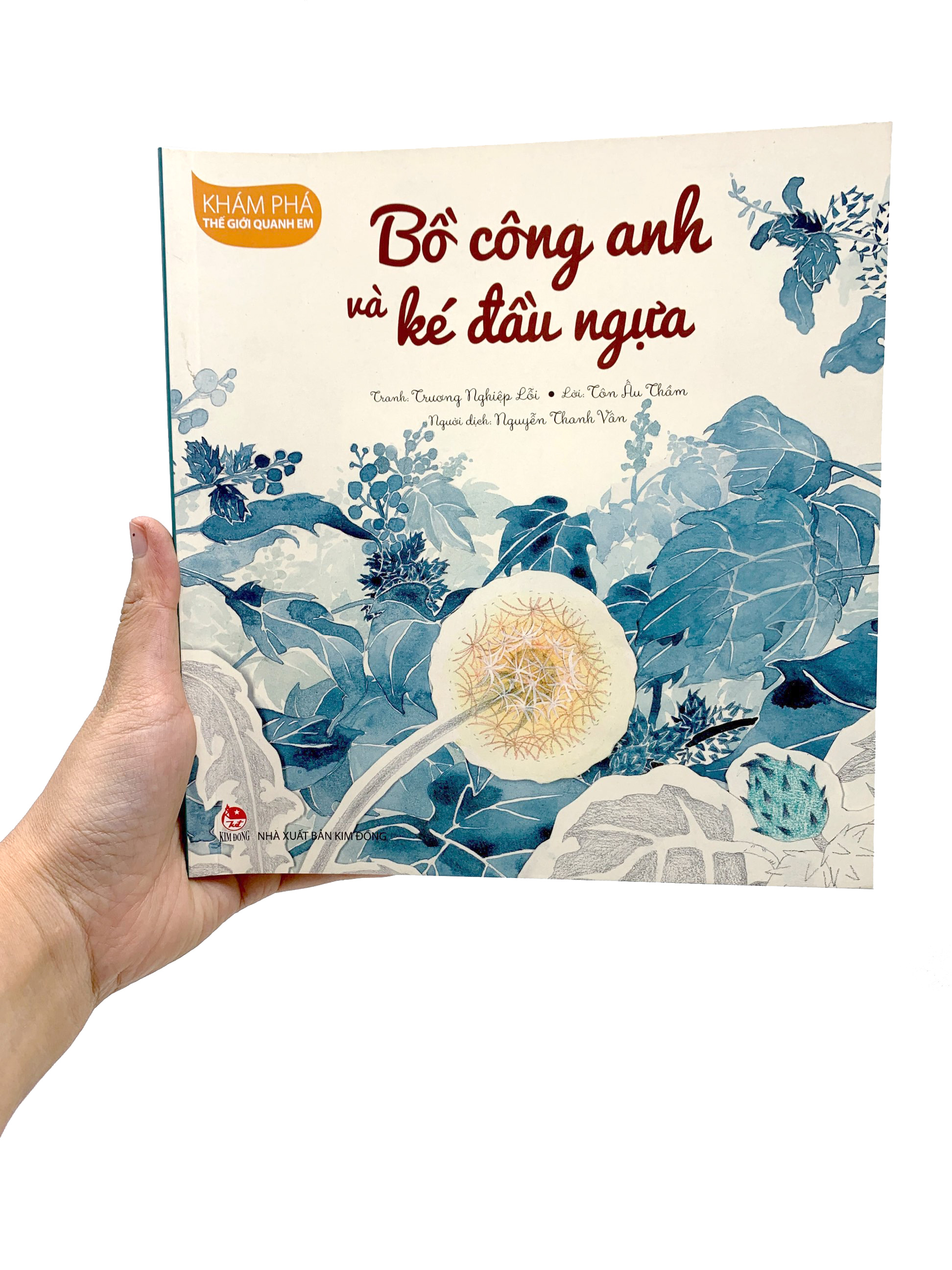 khám phá thế giới quanh em - bồ công anh và ké đầu ngựa - Ảnh 8