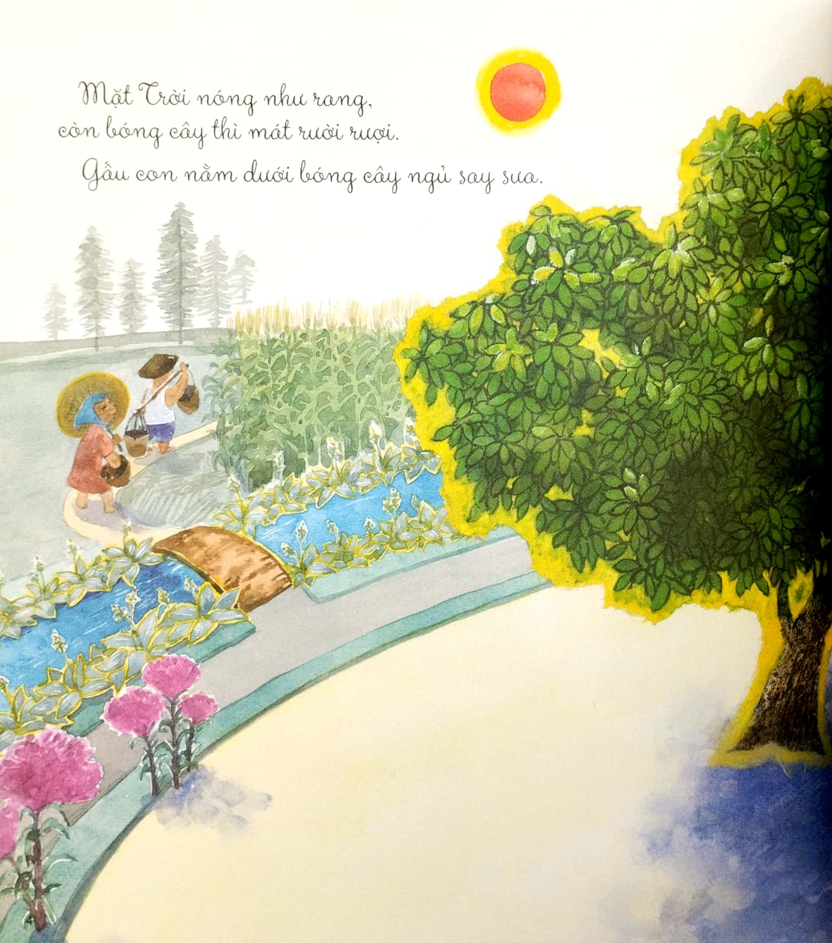 khám phá thế giới quanh em - đuổi bắt bóng cây - Ảnh 3