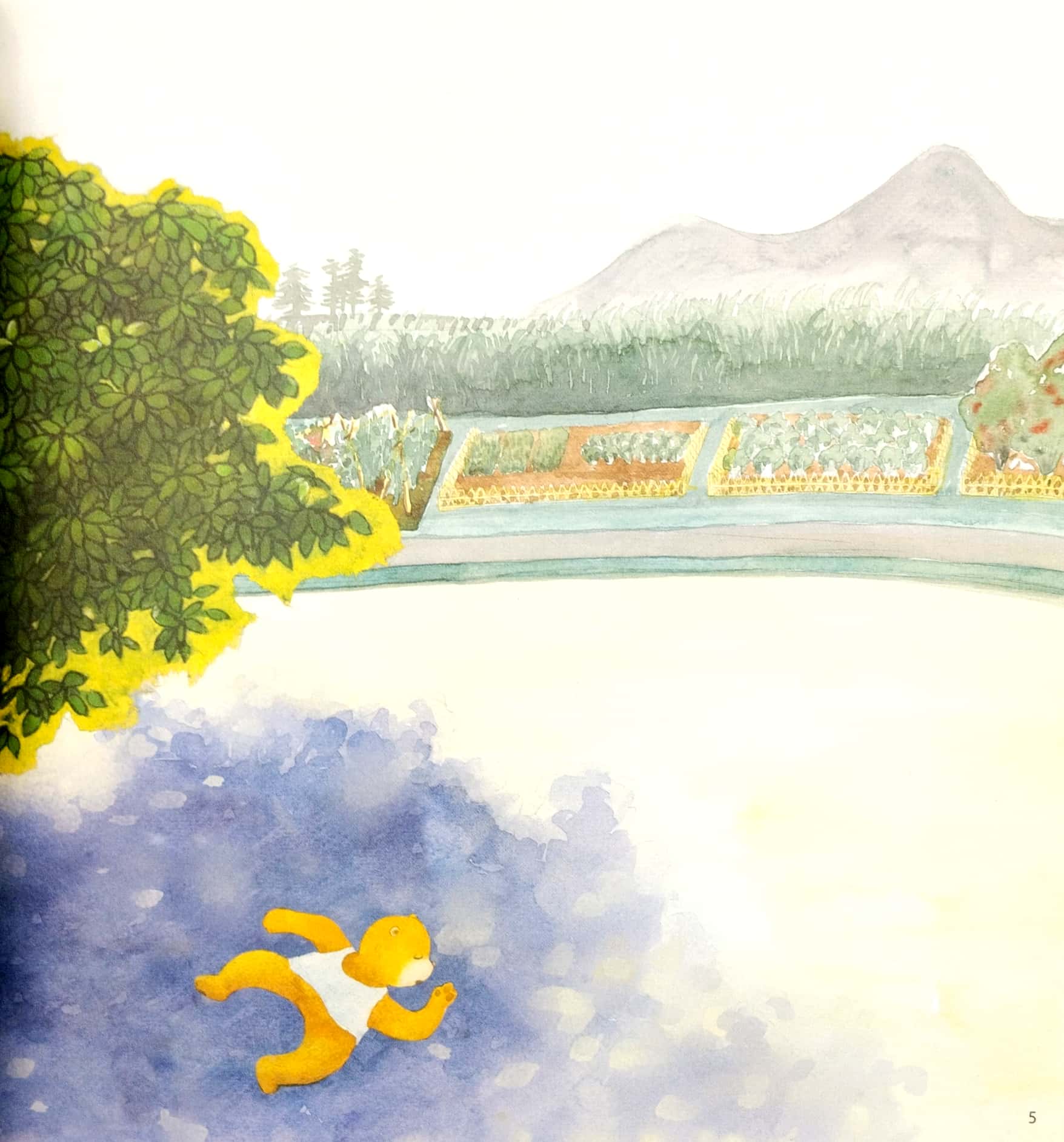 khám phá thế giới quanh em - đuổi bắt bóng cây - Ảnh 4