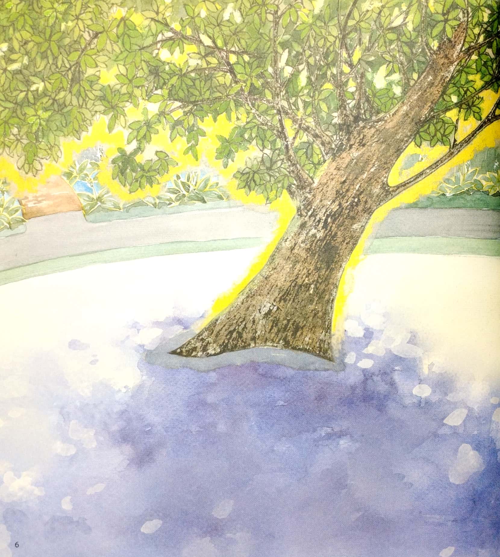 khám phá thế giới quanh em - đuổi bắt bóng cây - Ảnh 5