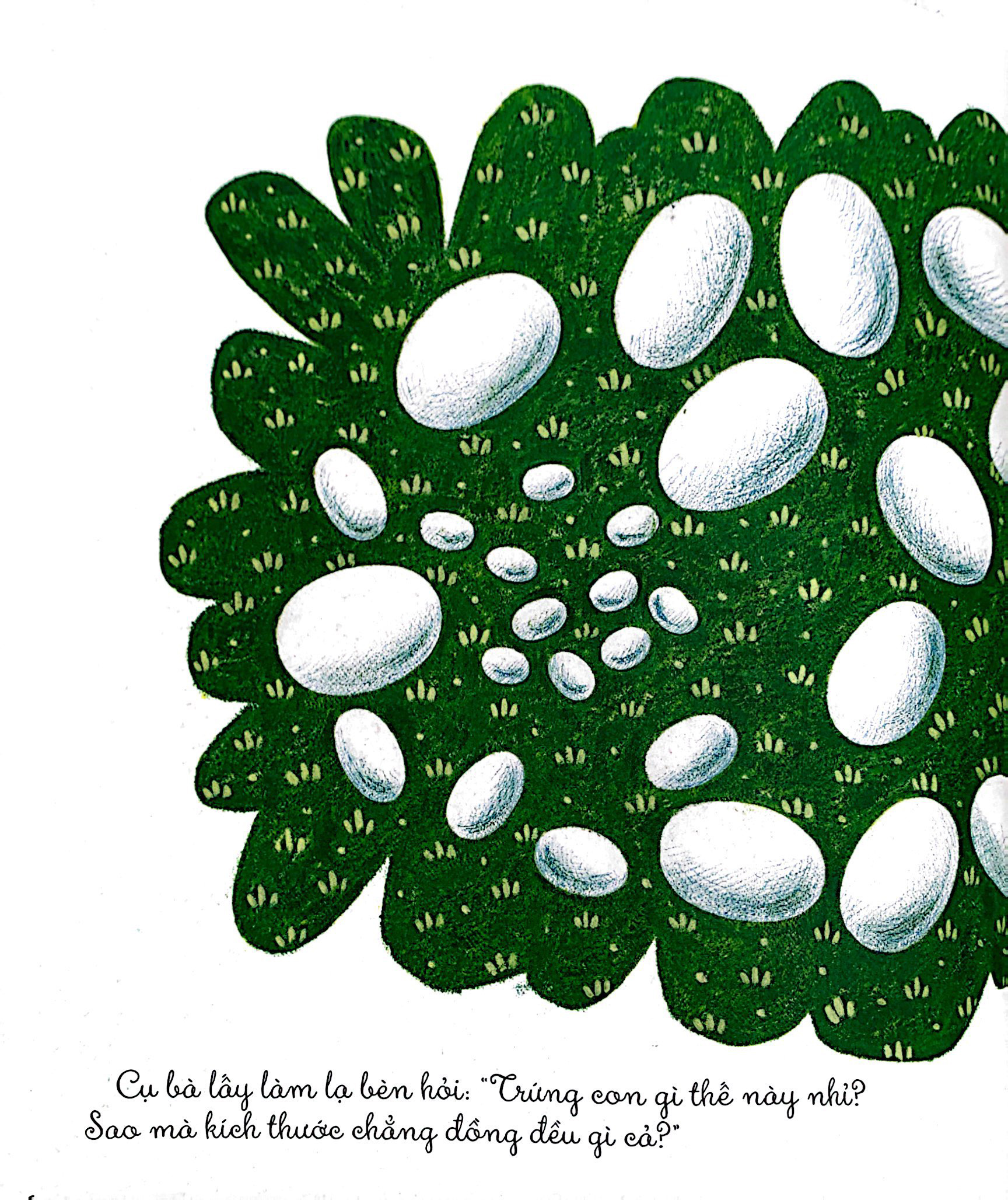 khám phá thế giới quanh em - luộc trứng hay rán trứng? - Ảnh 5