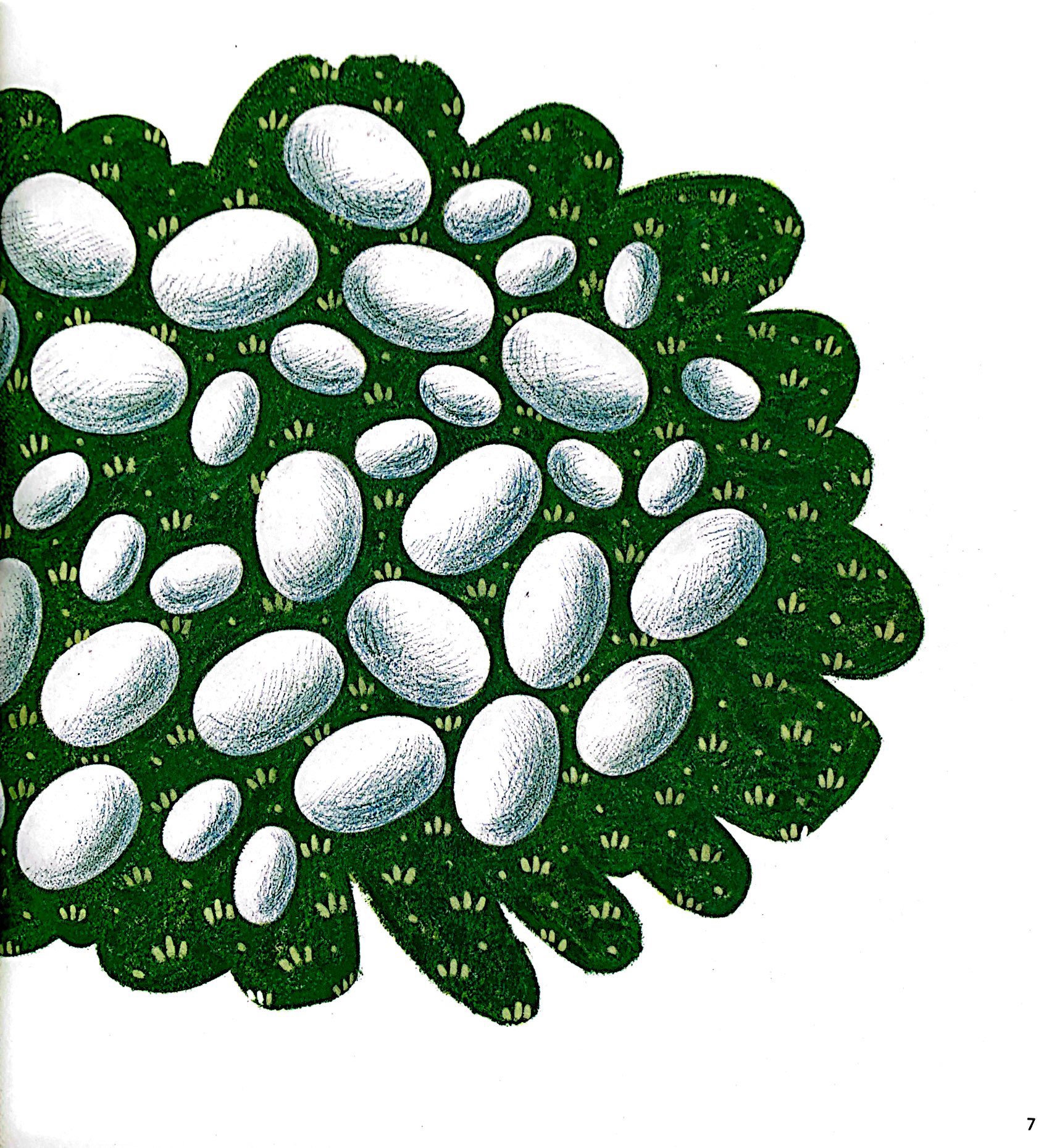 khám phá thế giới quanh em - luộc trứng hay rán trứng? - Ảnh 6