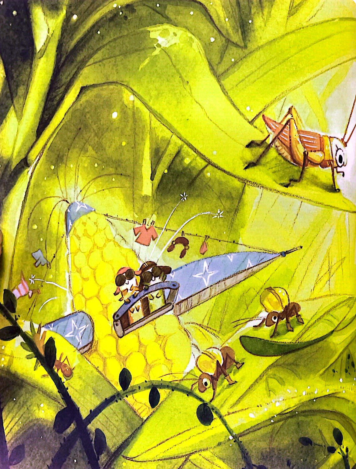 khám phá thế giới quanh em - những chiếc giày của sâu - Ảnh 5