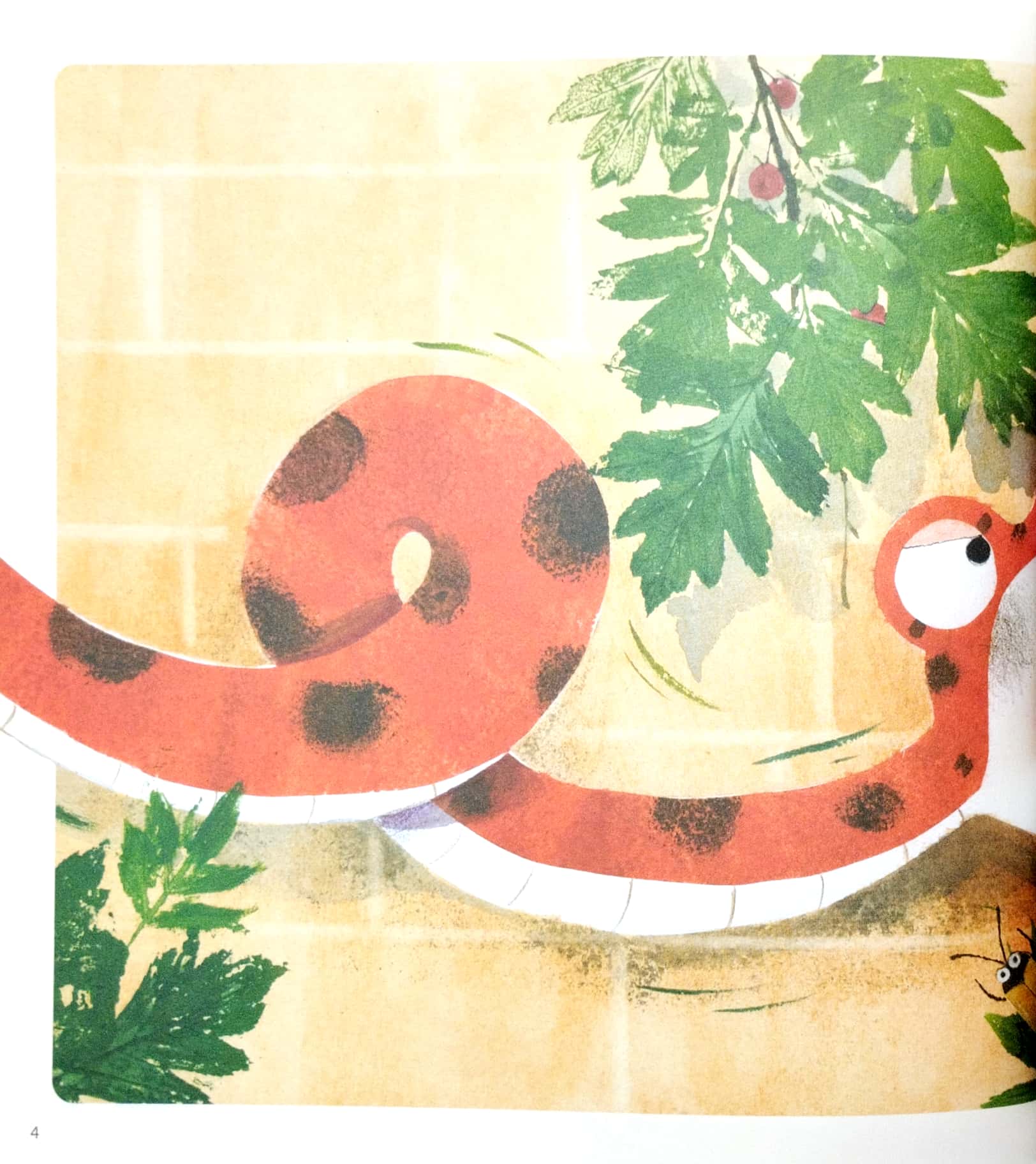 khám phá thế giới quanh em - thạch sùng mượn đuôi - Ảnh 3