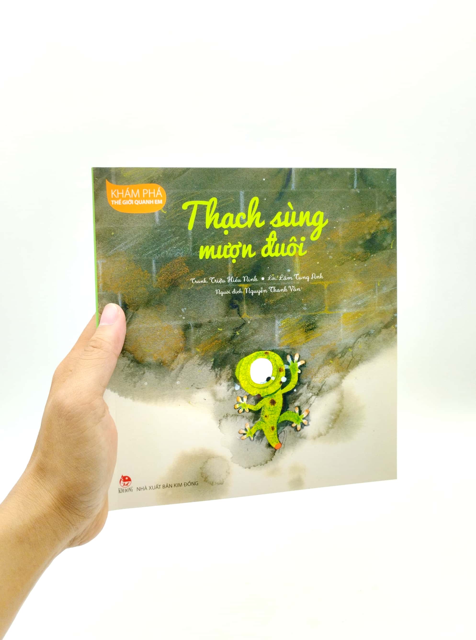khám phá thế giới quanh em - thạch sùng mượn đuôi - Ảnh 7