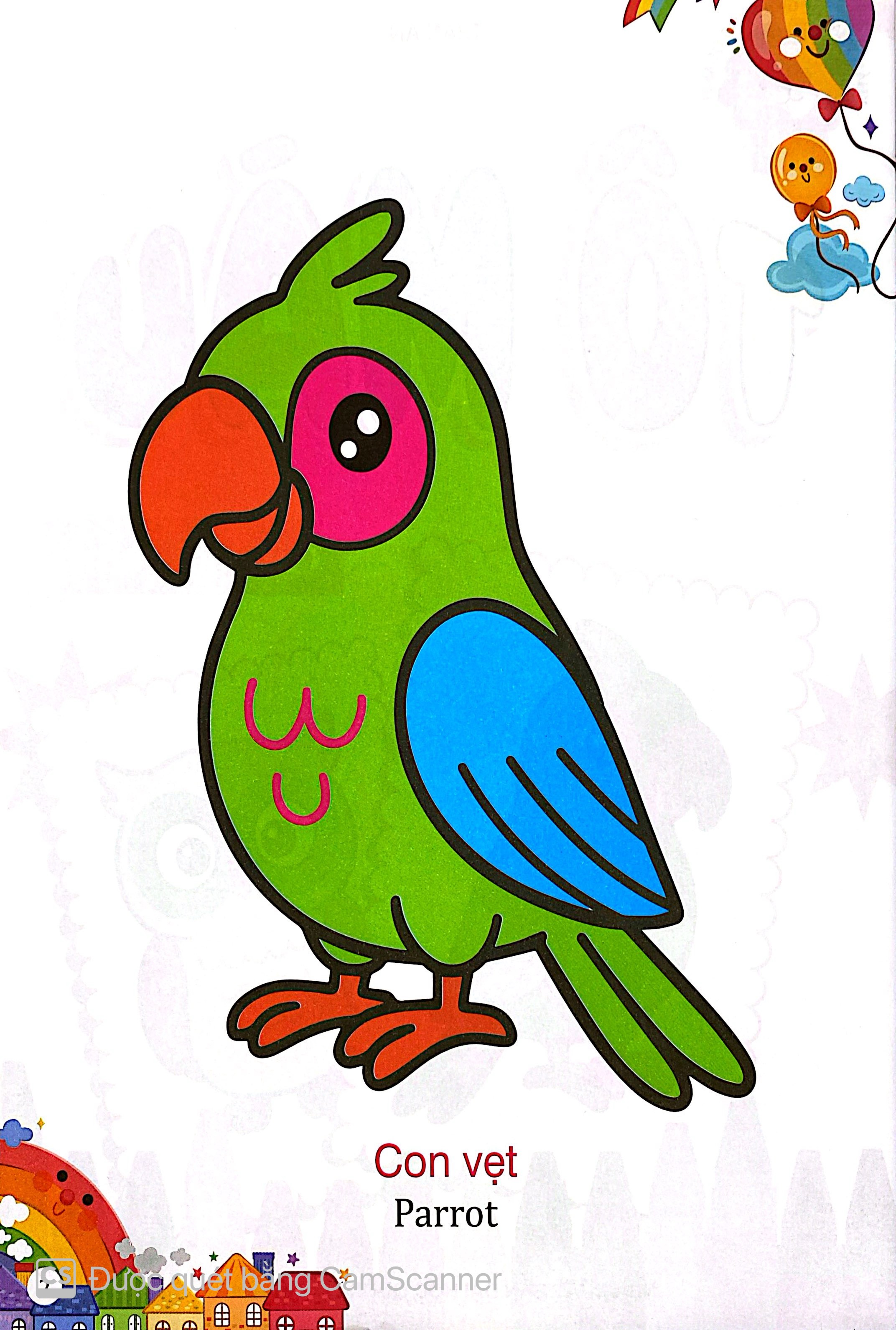 Kham Pha The Gioi Xung Quanh - To Mau Cac Loai Chim - Ảnh 3