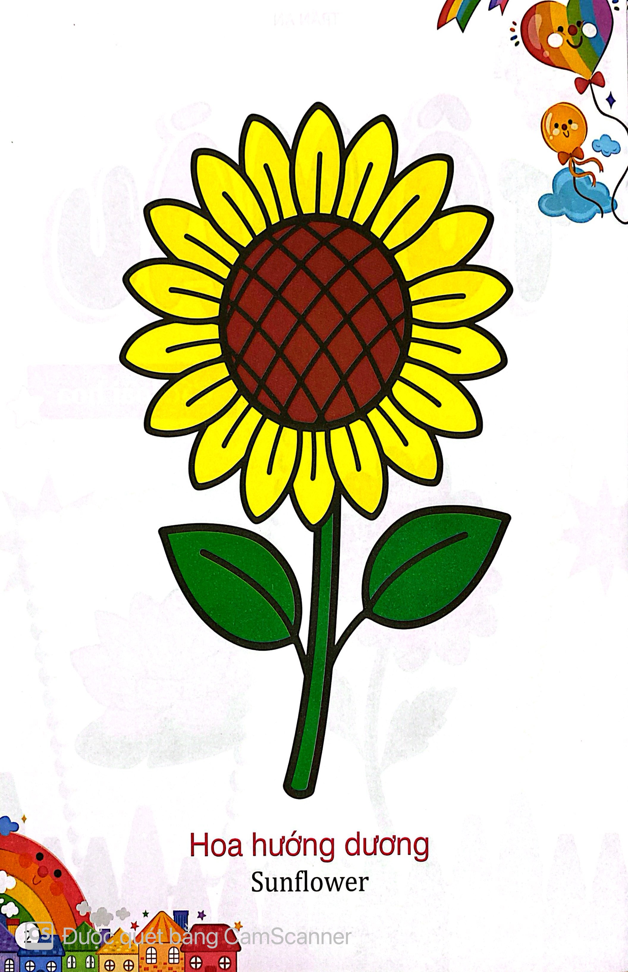 Kham Pha The Gioi Xung Quanh - To Mau Cac Loai Hoa - Ảnh 3