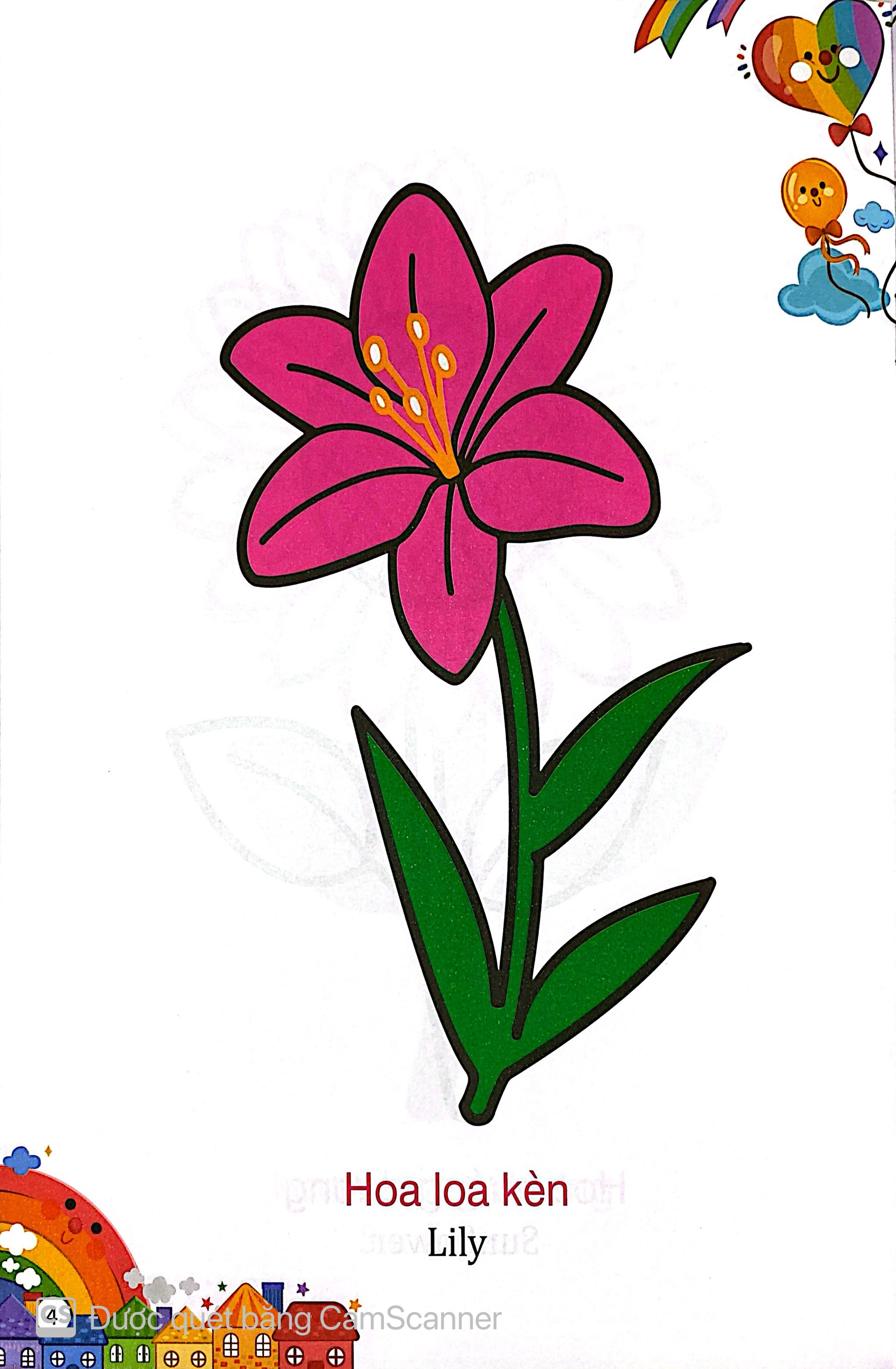 Kham Pha The Gioi Xung Quanh - To Mau Cac Loai Hoa - Ảnh 5