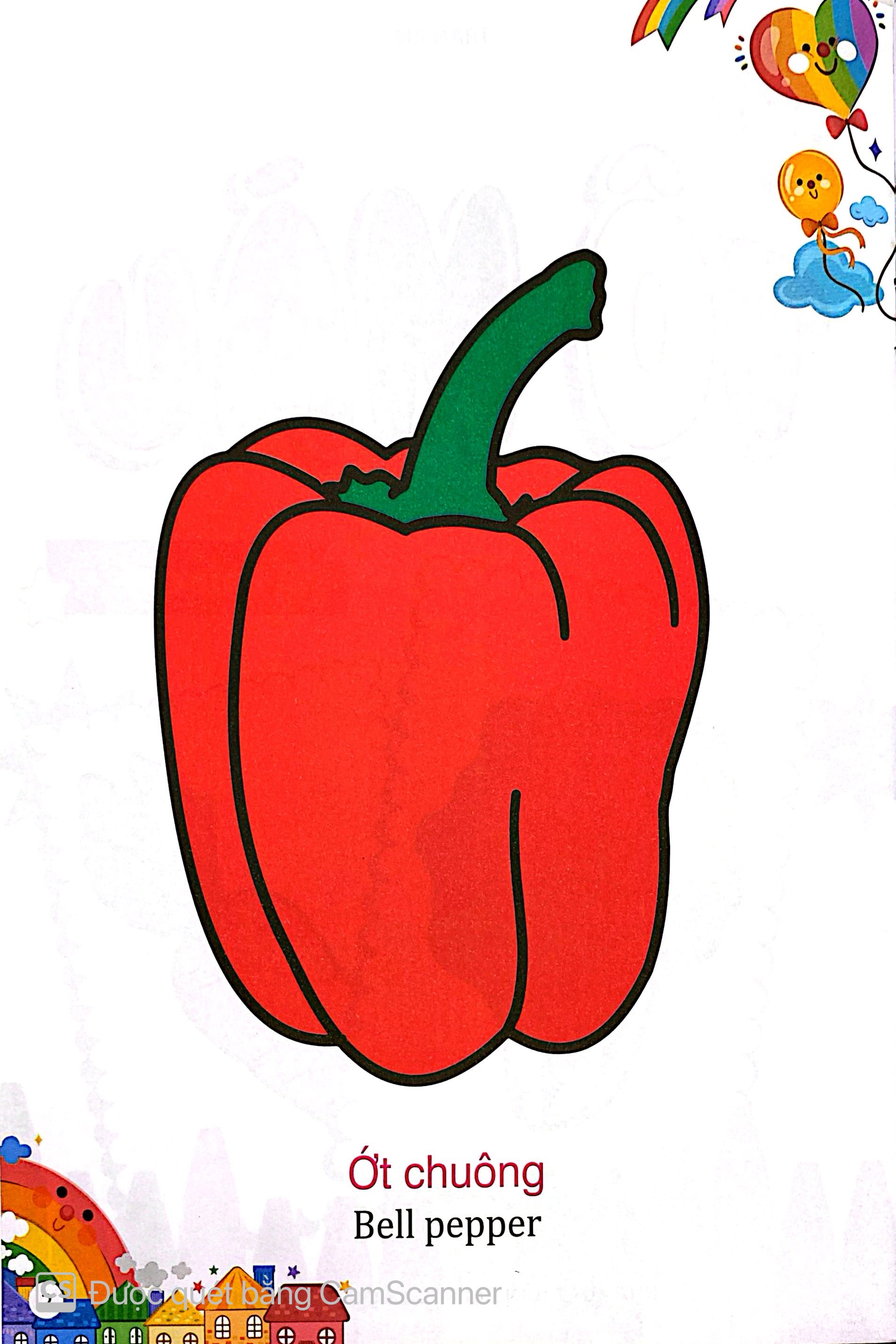 Kham Pha The Gioi Xung Quanh - To Mau Rau Cu - Ảnh 3