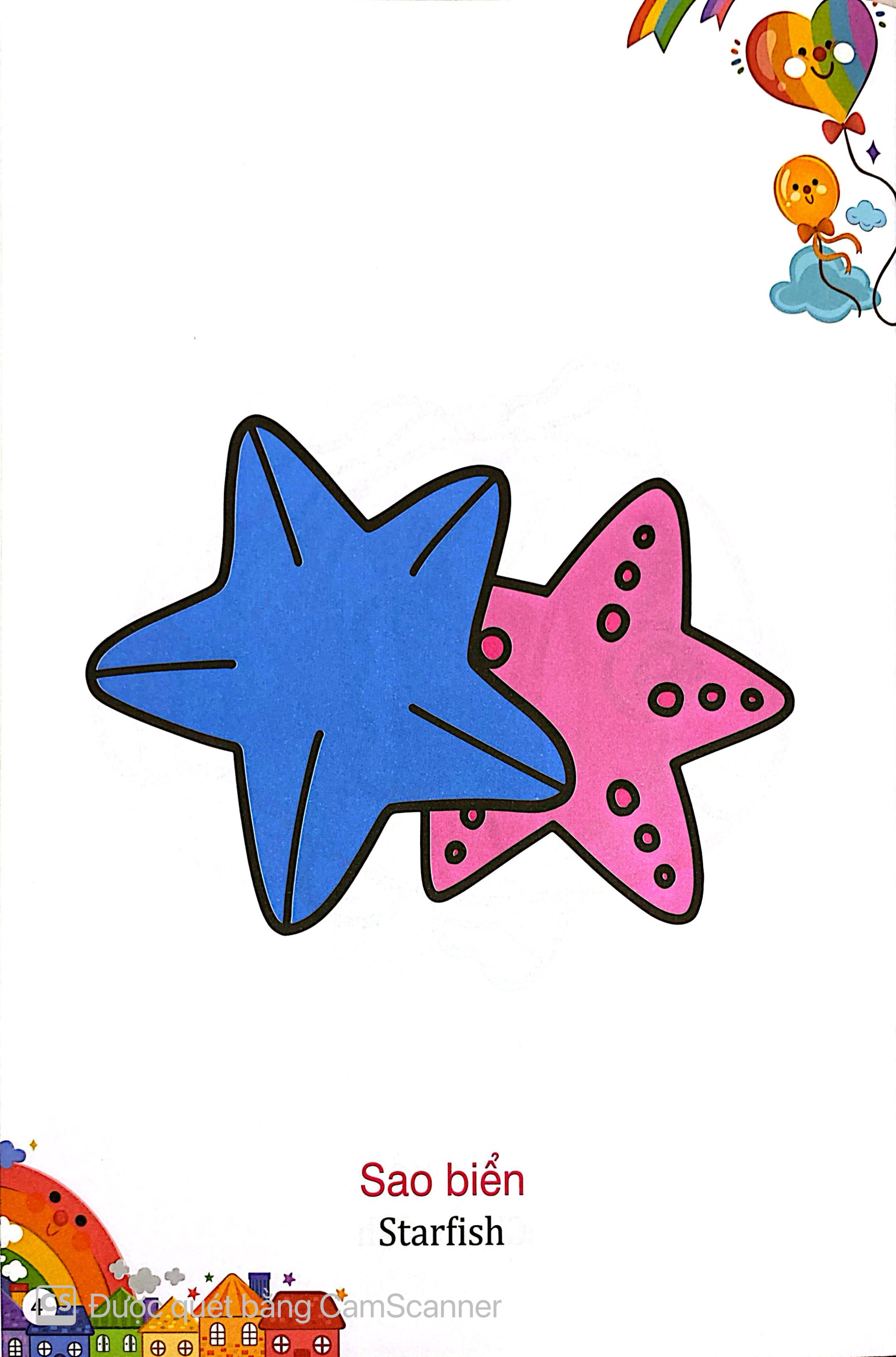 Kham Pha The Gioi Xung Quanh - To Mau Sinh Vat Bien - Ảnh 5