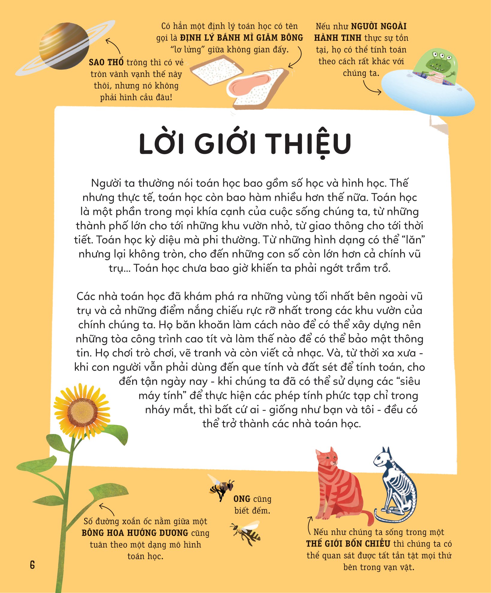 khám phá toán học thú vị quanh ta - Ảnh 4