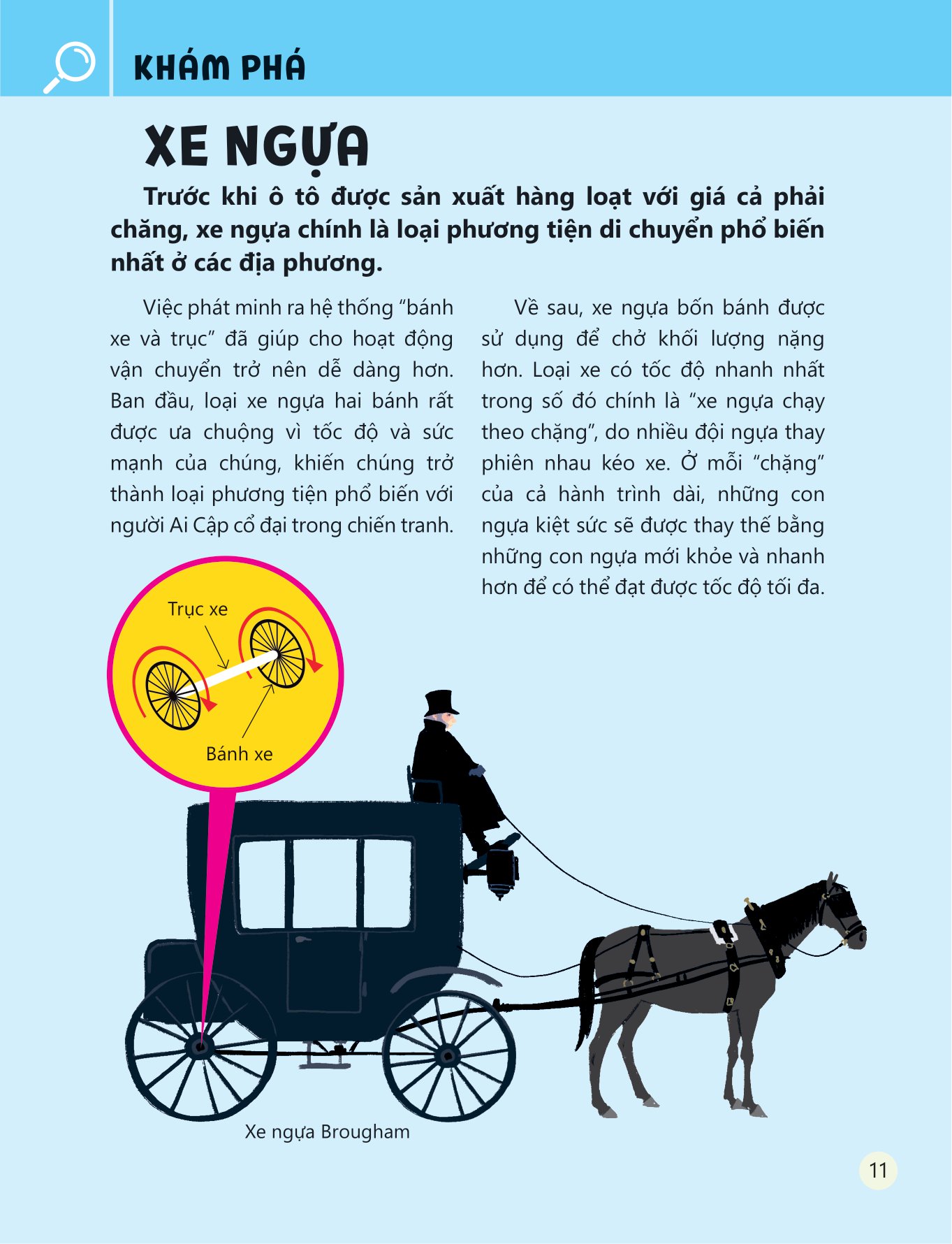 khám phá và thực hành steam qua tác phẩm kinh điển - khu vườn bí mật - Ảnh 11