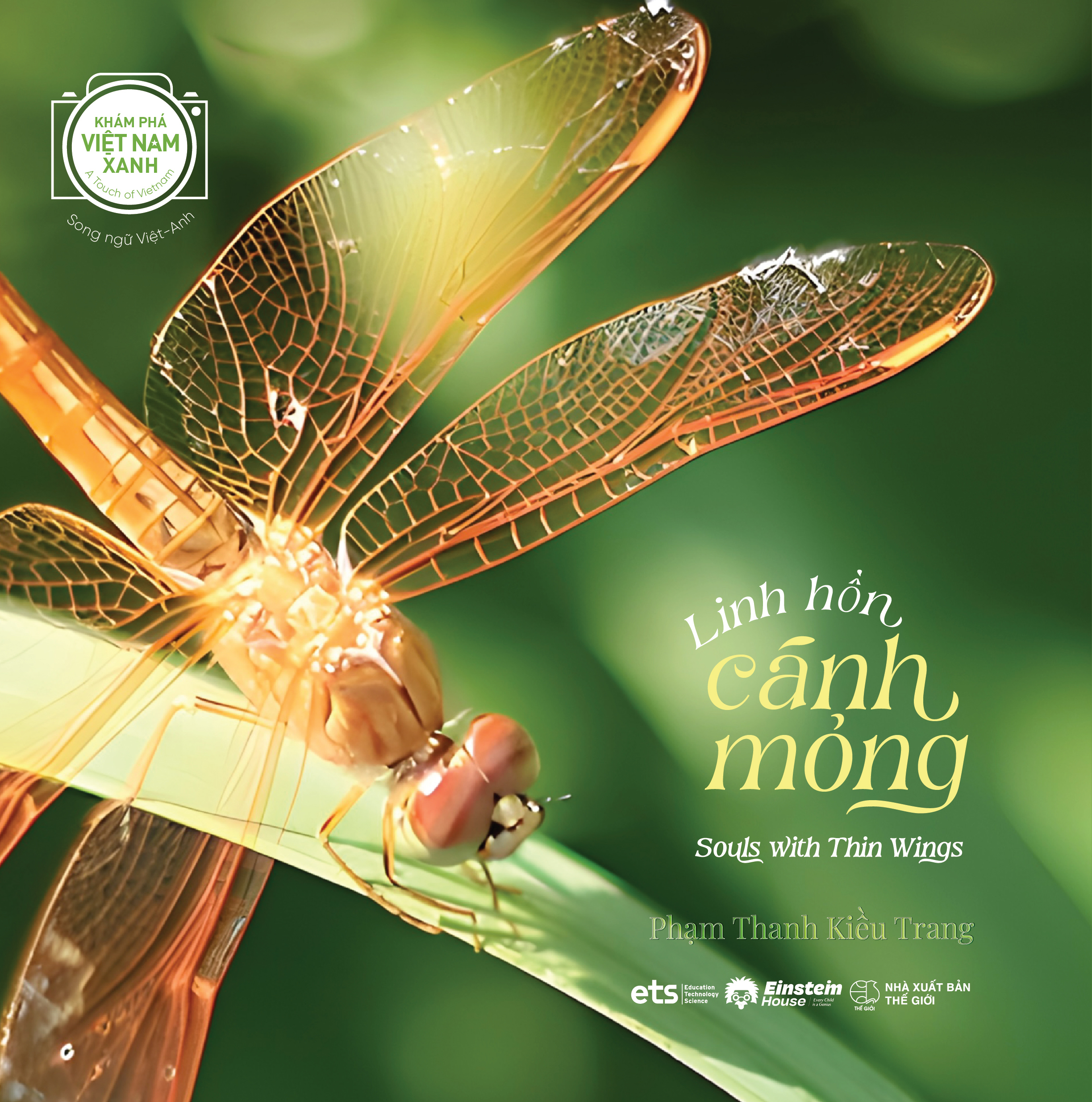 Khám Phá Việt Nam Xanh - A Touch Of Vietnam - Linh Hồn Cánh Mỏng - Souls With Thin Wings - Song Ngữ Việt-Anh - Ảnh 2