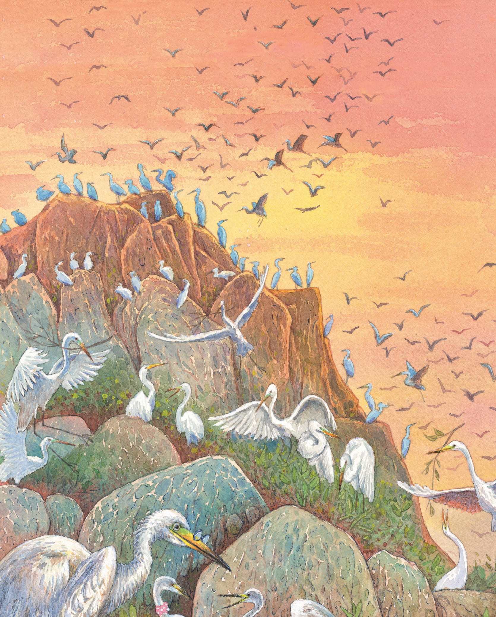 khẽ chạm vào tự nhiên - những quả trứng kì lạ - Ảnh 5