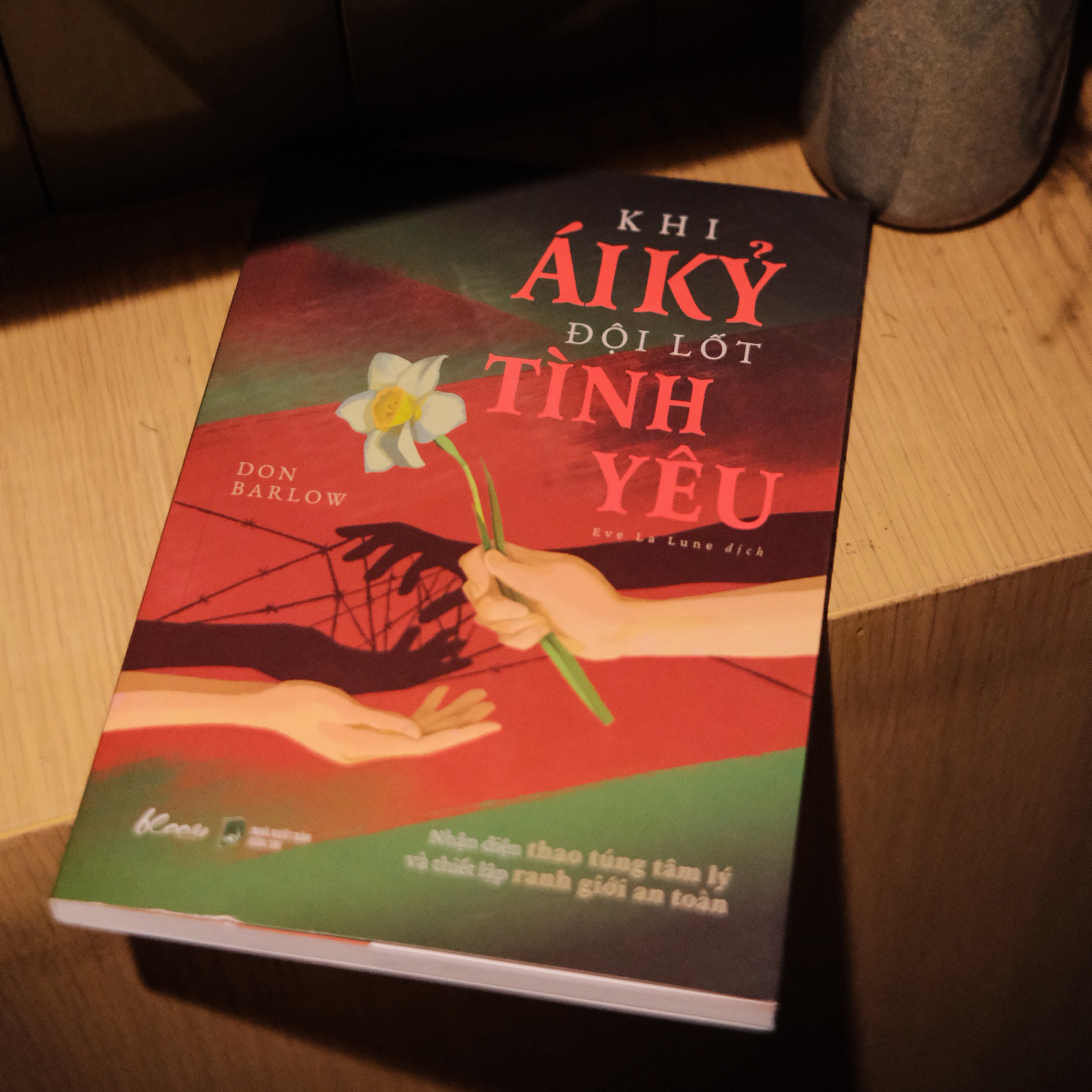 Khi Ái Kỷ Đội Lốt Tình Yêu - Nhận Diện Thao Túng Tâm Lý Và Thiết Lập Ranh Giới An Toàn - Ảnh 7