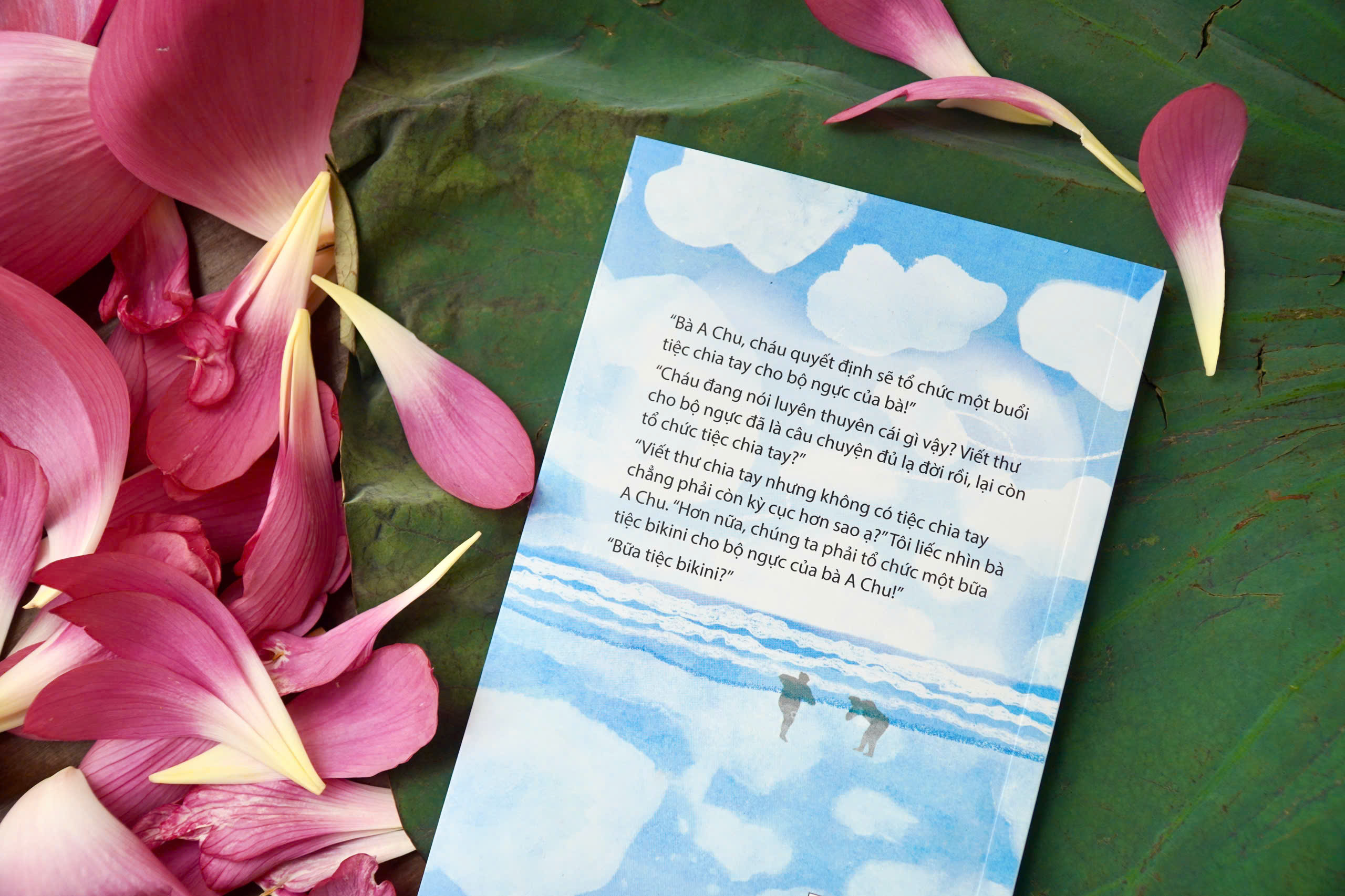 Khi Bà Nội Mặc Bikini - Ảnh 4