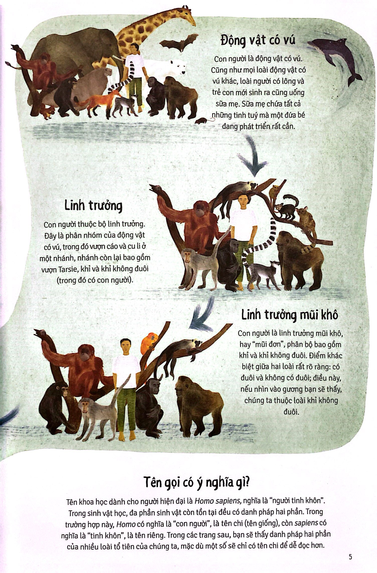 khi chúng ta thành người - Ảnh 5