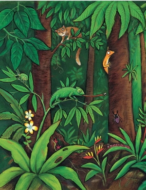 khỉ con tìm mẹ - Ảnh 4